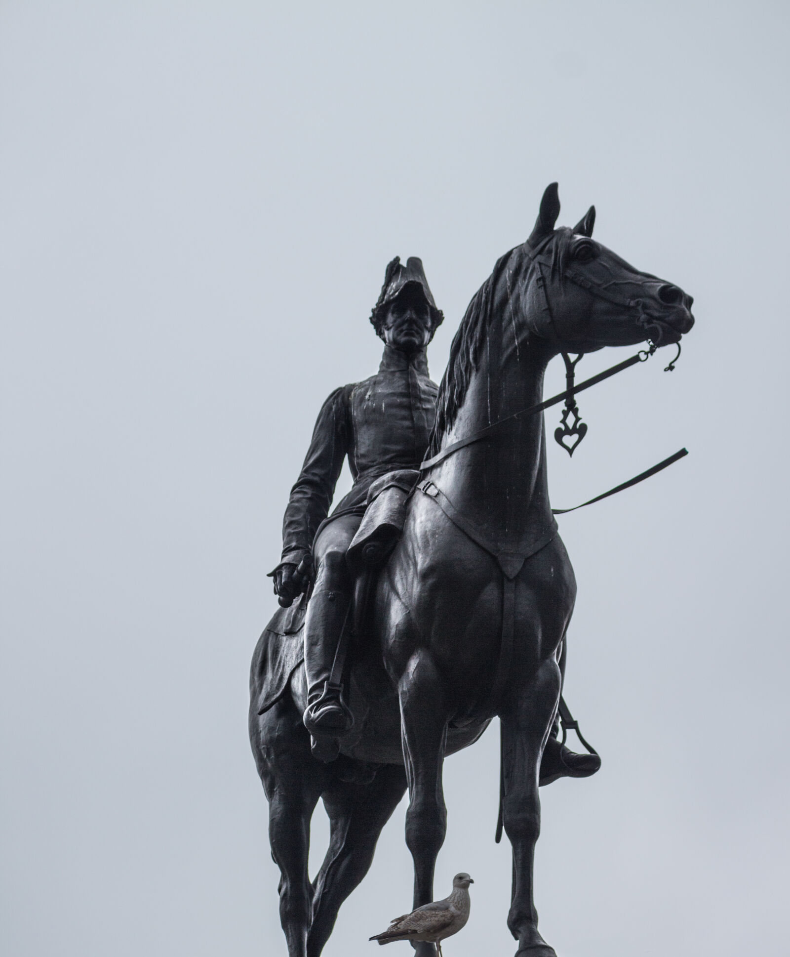 Canon EOS 700D (EOS Rebel T5i / EOS Kiss X7i) sample photo. Avian, bird, cavalry, equestrian photography