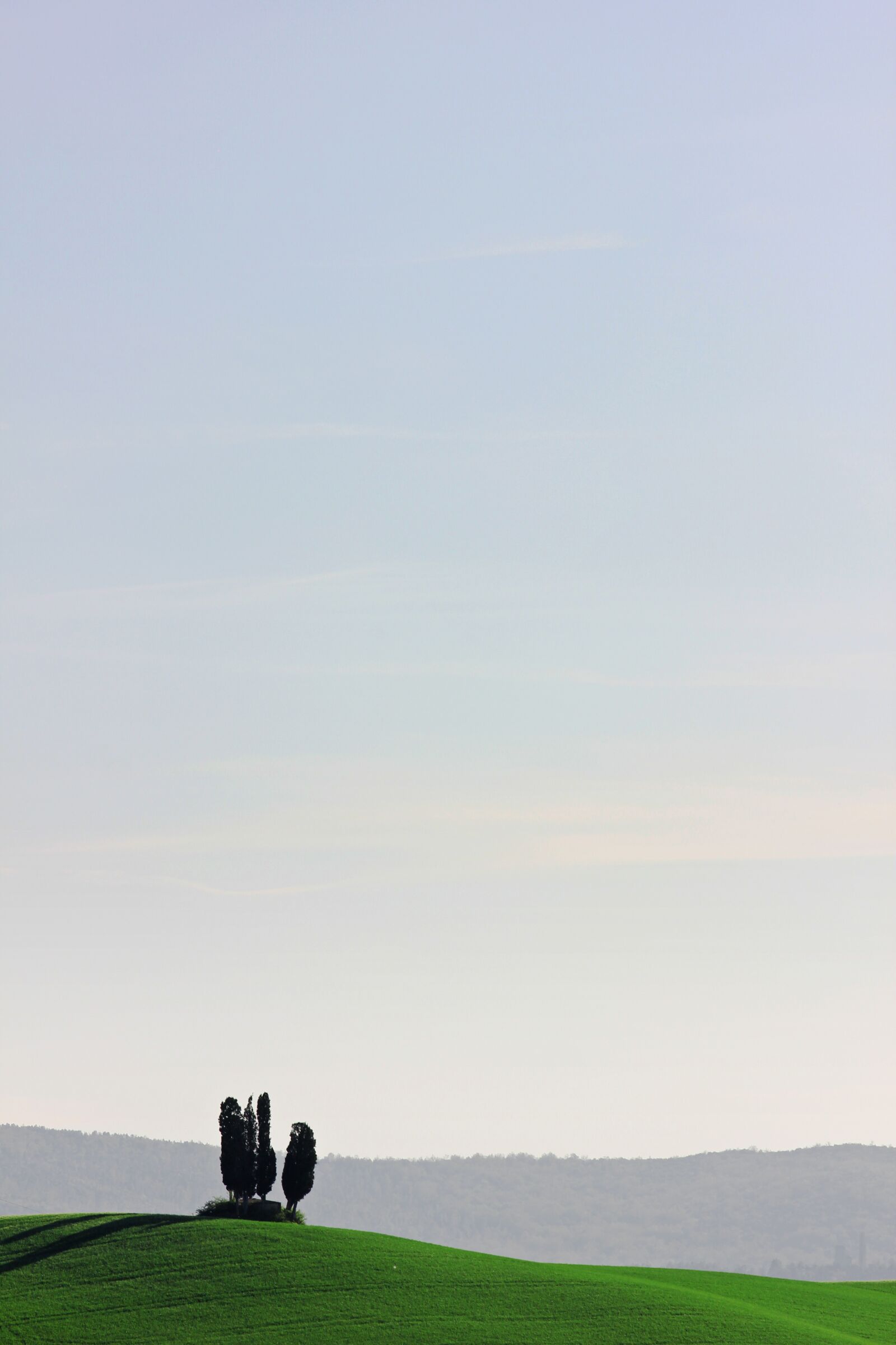 Canon EOS 550D (EOS Rebel T2i / EOS Kiss X4) sample photo. Tuscany, tree, italy photography