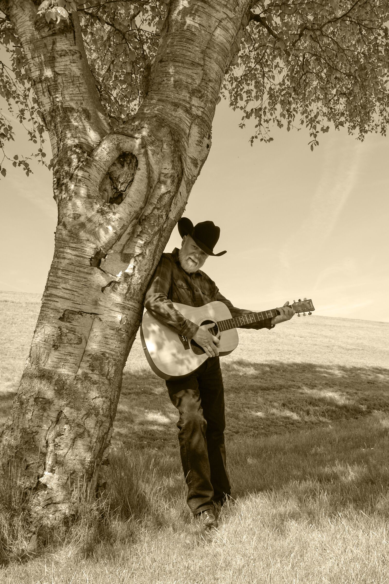 Nikon D7000 sample photo. Guitar, guitarist, countryside photography