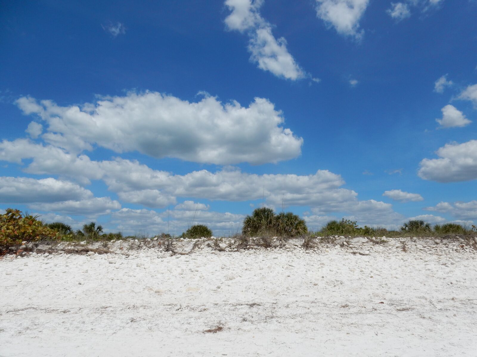 Nikon Coolpix S9900 sample photo. Sand, nature, beach photography