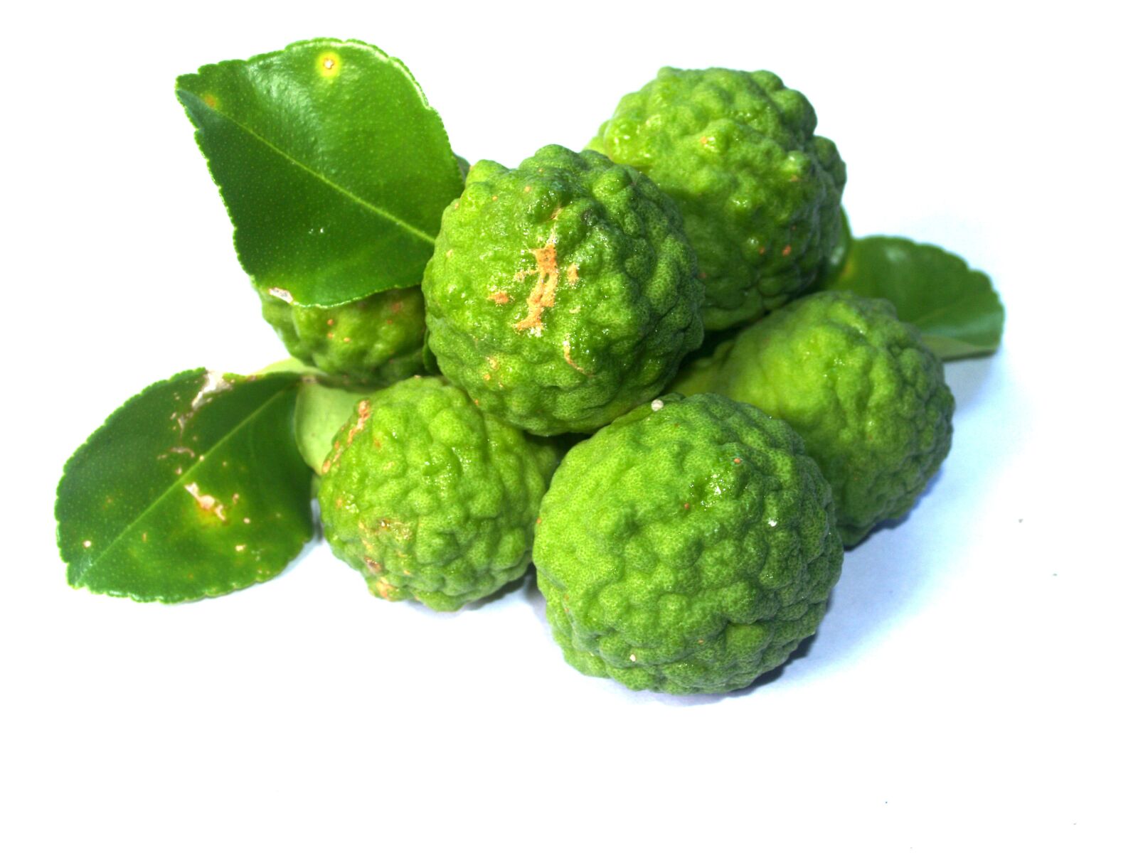 Olympus E-300 (EVOLT E-300) sample photo. Bergamot, fruit, leaf photography