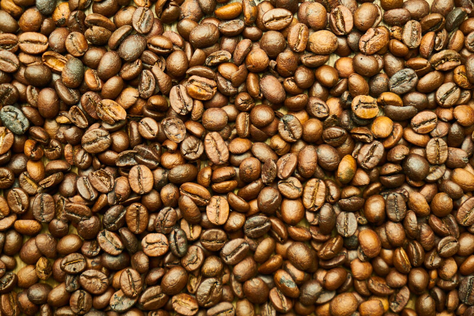Sony a7R II sample photo. Coffee, core, caffeine photography