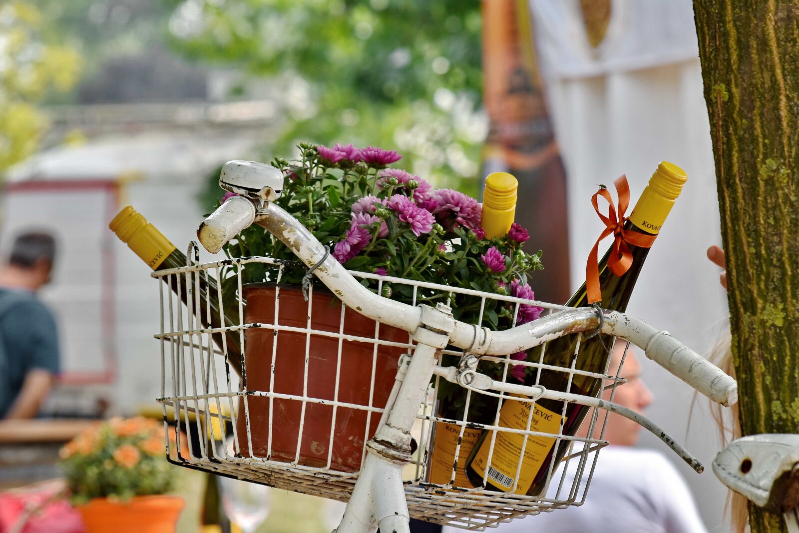 Nikon D5500 sample photo. Bicycle, decoration, flowerpot, gifts photography