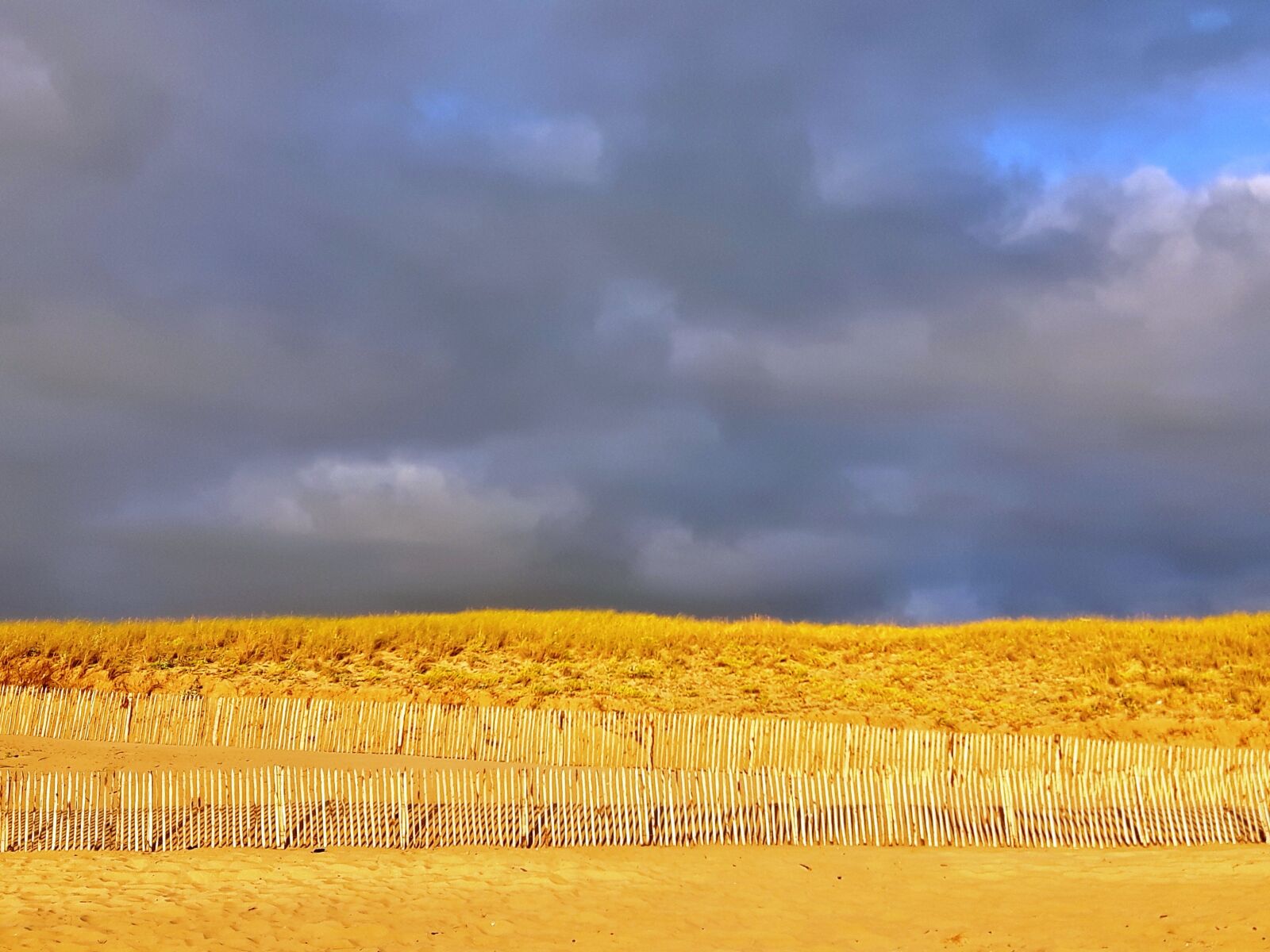 Samsung Galaxy S5 Neo sample photo. Dune, beach, atlantic coast photography
