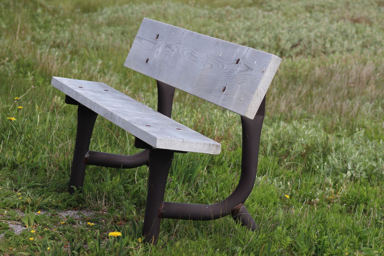 Canon EOS 600D (Rebel EOS T3i / EOS Kiss X5) sample photo. Bench, newfoundland, grass photography