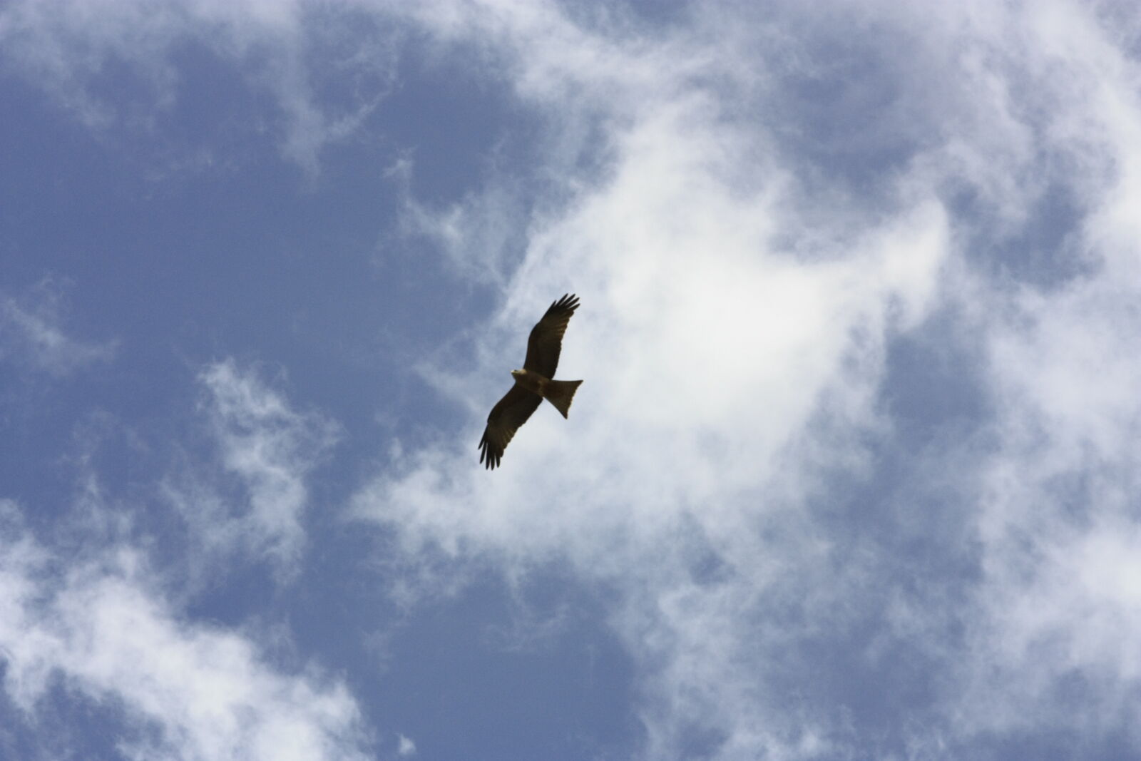 Canon EF 70-200mm F4L USM sample photo