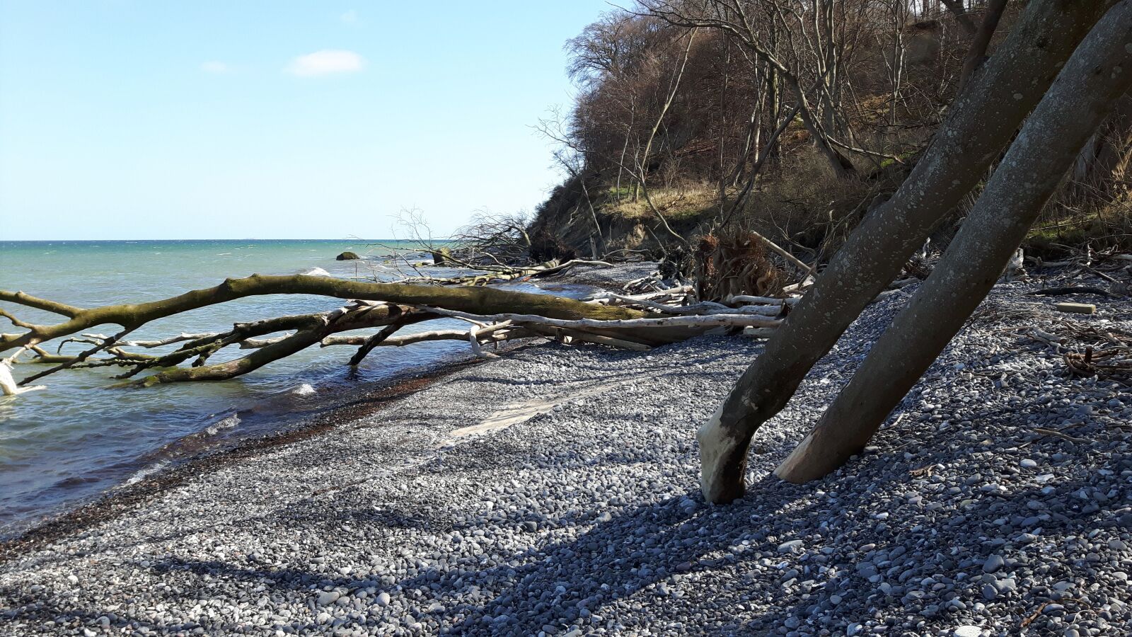 Samsung Galaxy S5 Neo sample photo. Moen, wood, beach photography