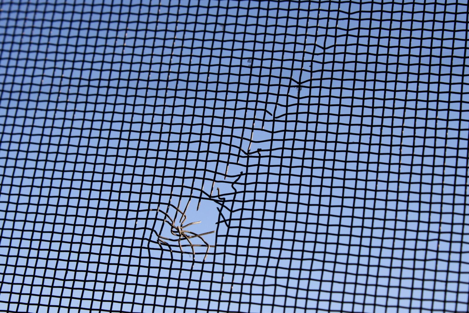 f/3.5-5.6 IS sample photo. Hole, metal fence photography