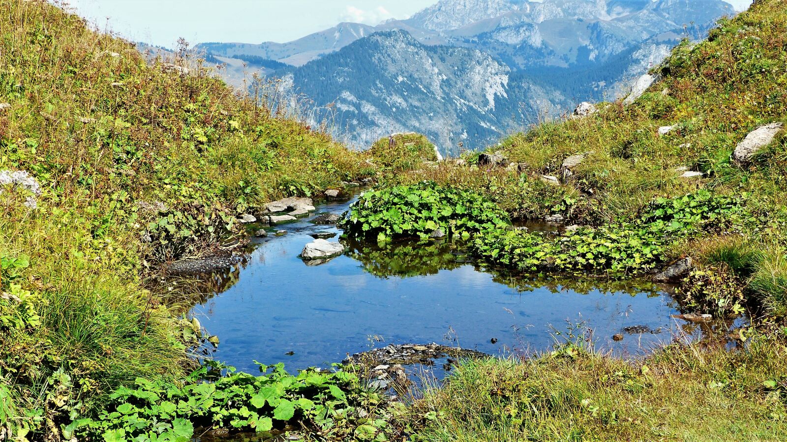 Panasonic Lumix DMC-FZ200 sample photo. Alps, mountain pastures, water photography