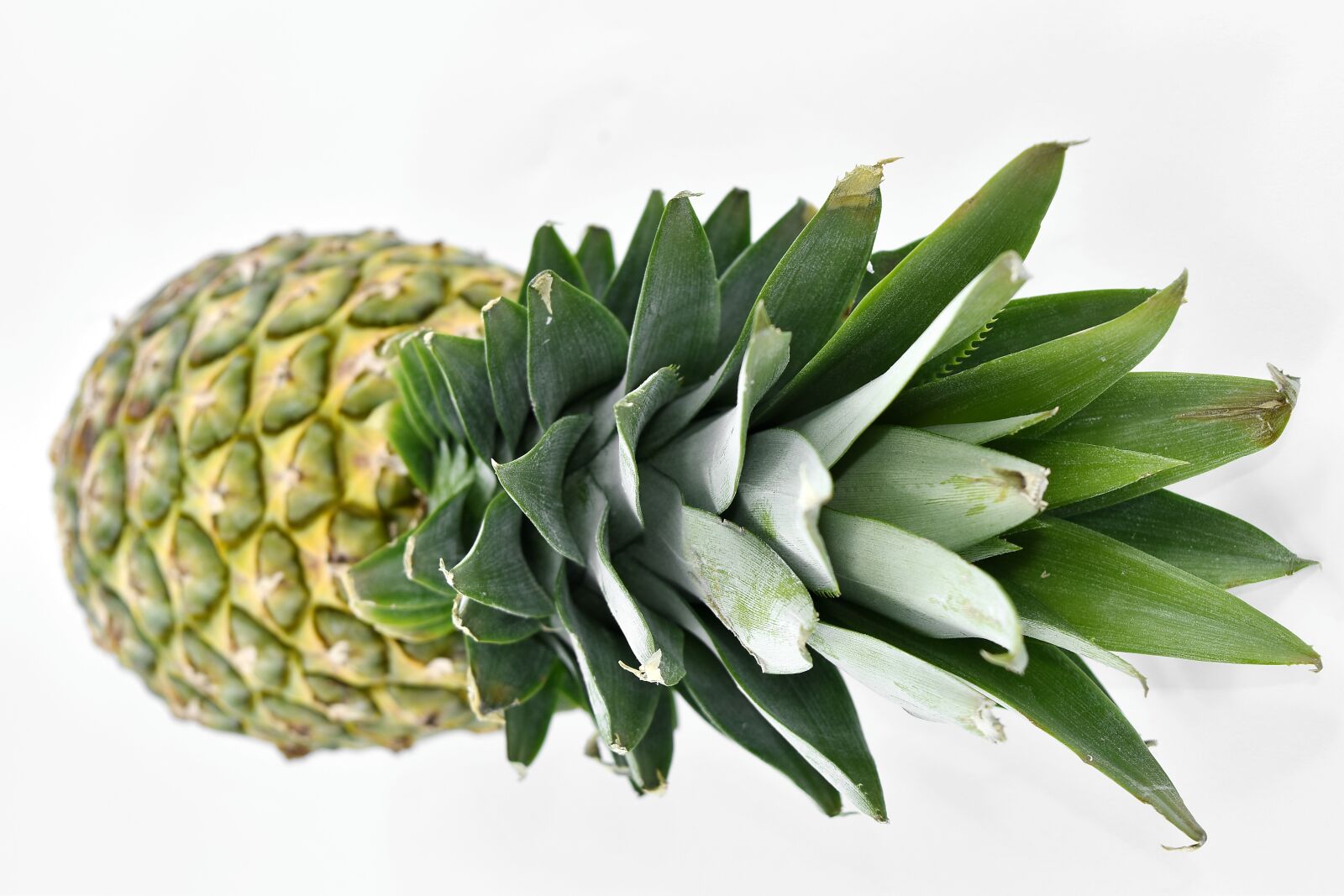Nikon D5500 sample photo. Agriculture, pineapple, vitamin, tropical photography