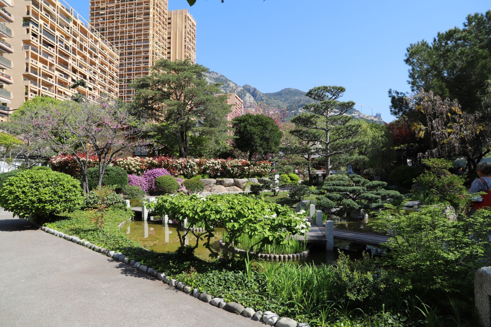 Canon EOS 6D Mark II sample photo. Garden, tree, nature photography