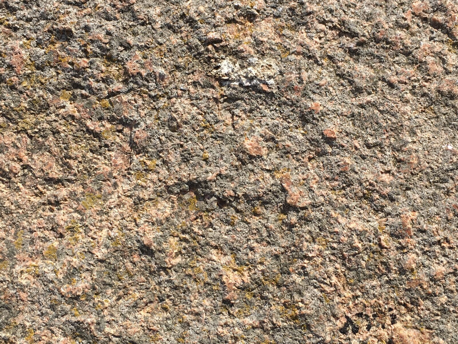 Apple iPhone 6s sample photo. Sand, grain, rough photography