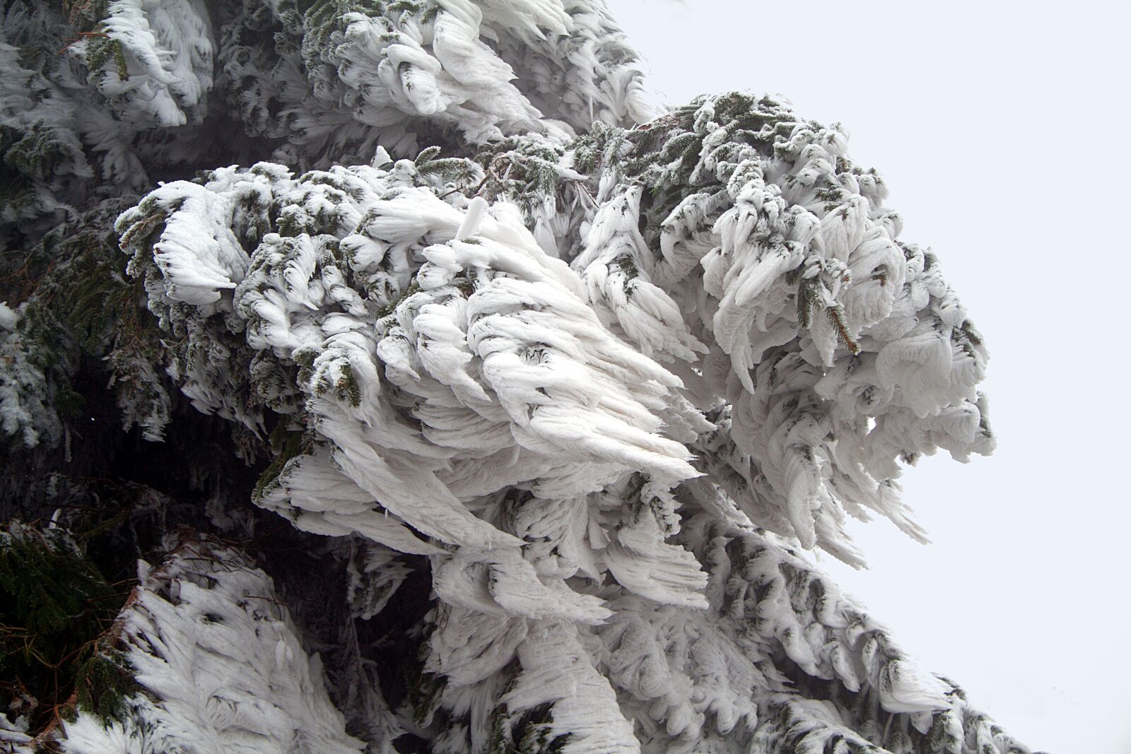 Canon EOS 7D sample photo. Winter, snow, wintry photography