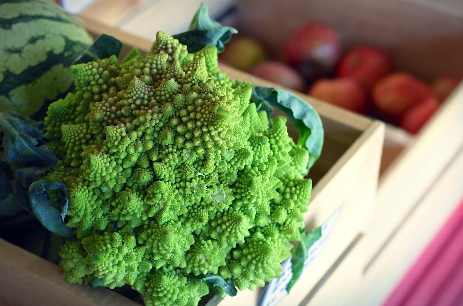 Canon EOS 1000D (EOS Digital Rebel XS / EOS Kiss F) sample photo. Romanesco, vegetable, broccoli photography