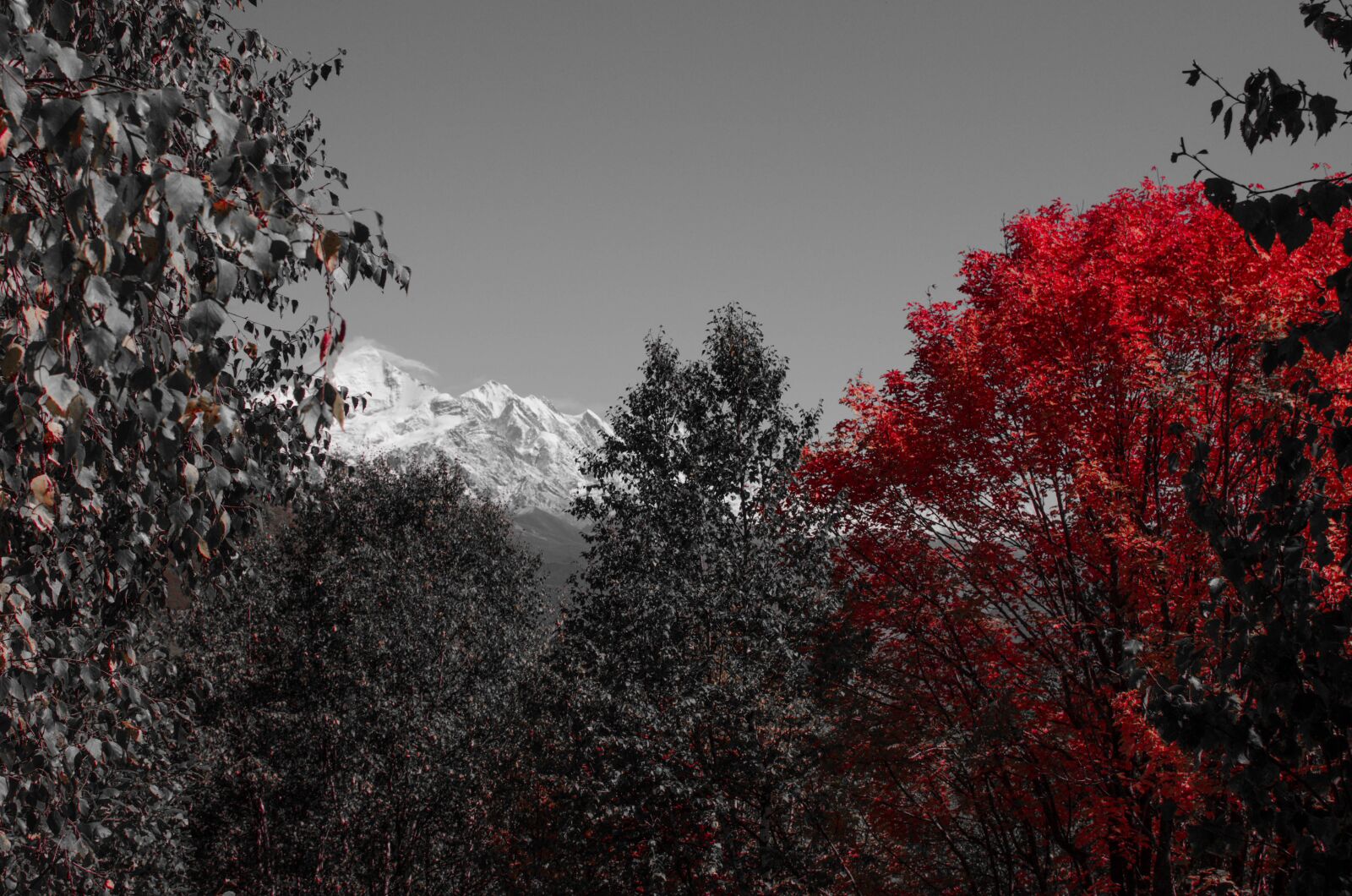 Nikon D5100 sample photo. Mountains, autumn, forest photography
