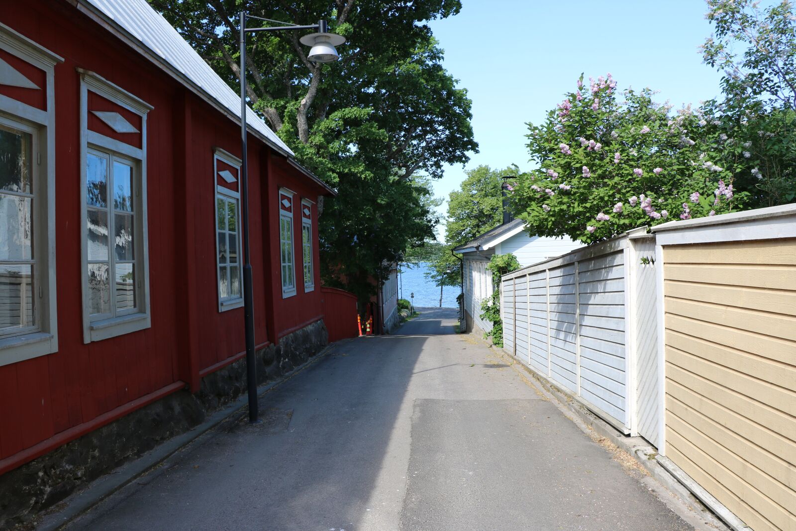 Canon EOS 750D (EOS Rebel T6i / EOS Kiss X8i) sample photo. Finnish, oak island, street photography
