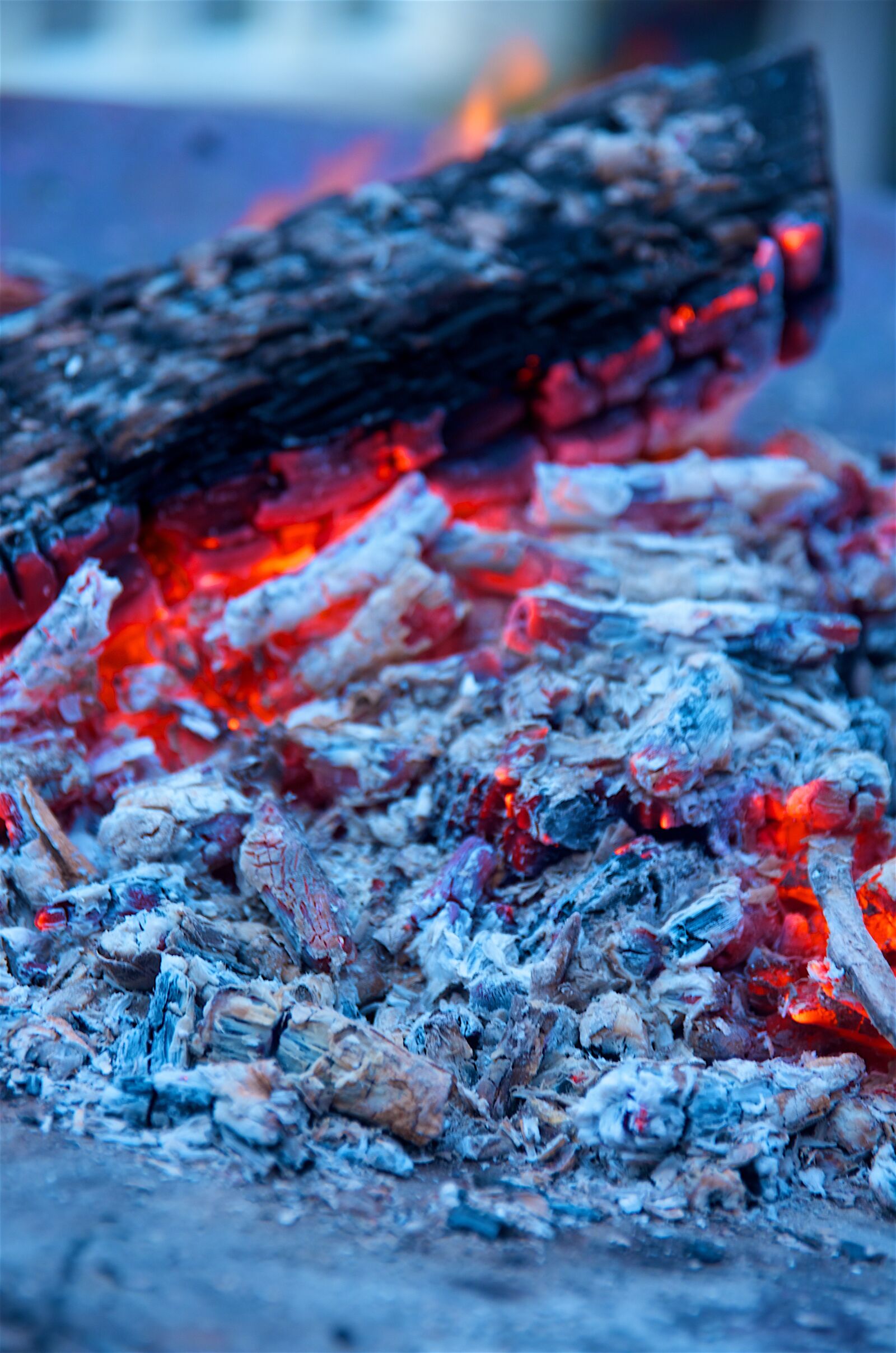 Pentax K-5 sample photo. Fire, ashes, burning photography