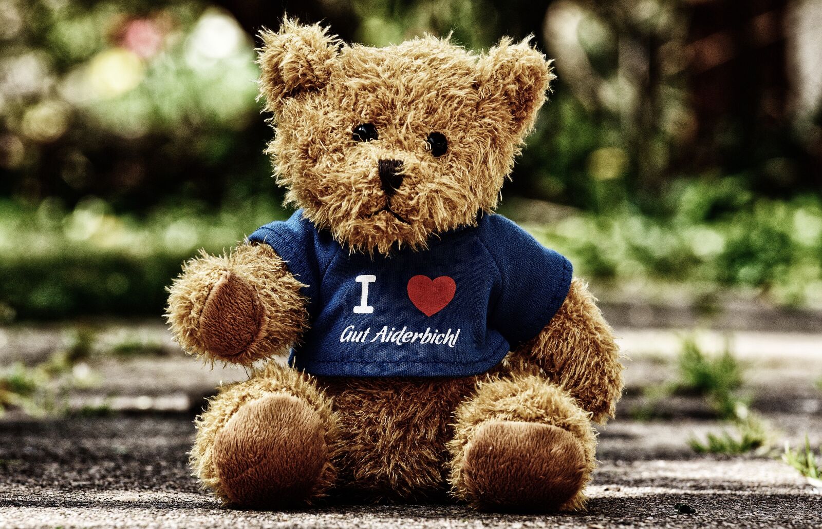 Nikon D3200 sample photo. Teddy, good aiderbichl, sanctuary photography