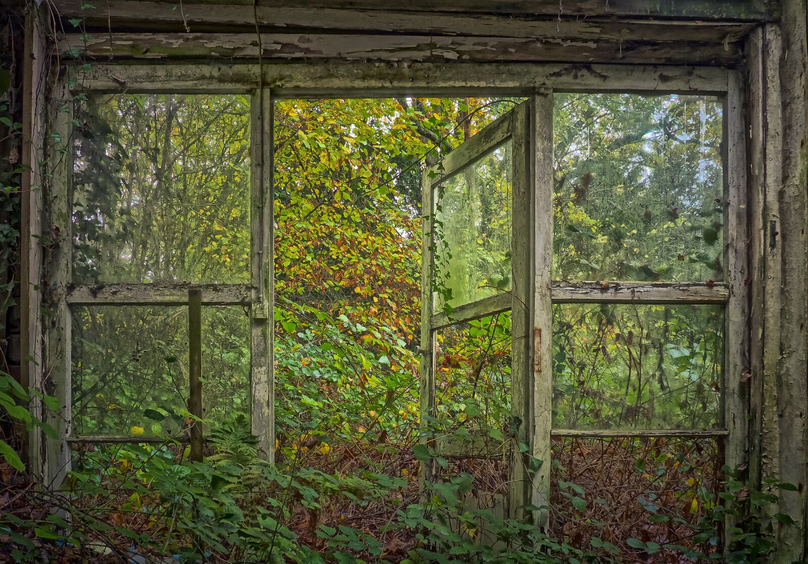 Olympus OM-D E-M10 sample photo. Lost places, abandoned, decay photography