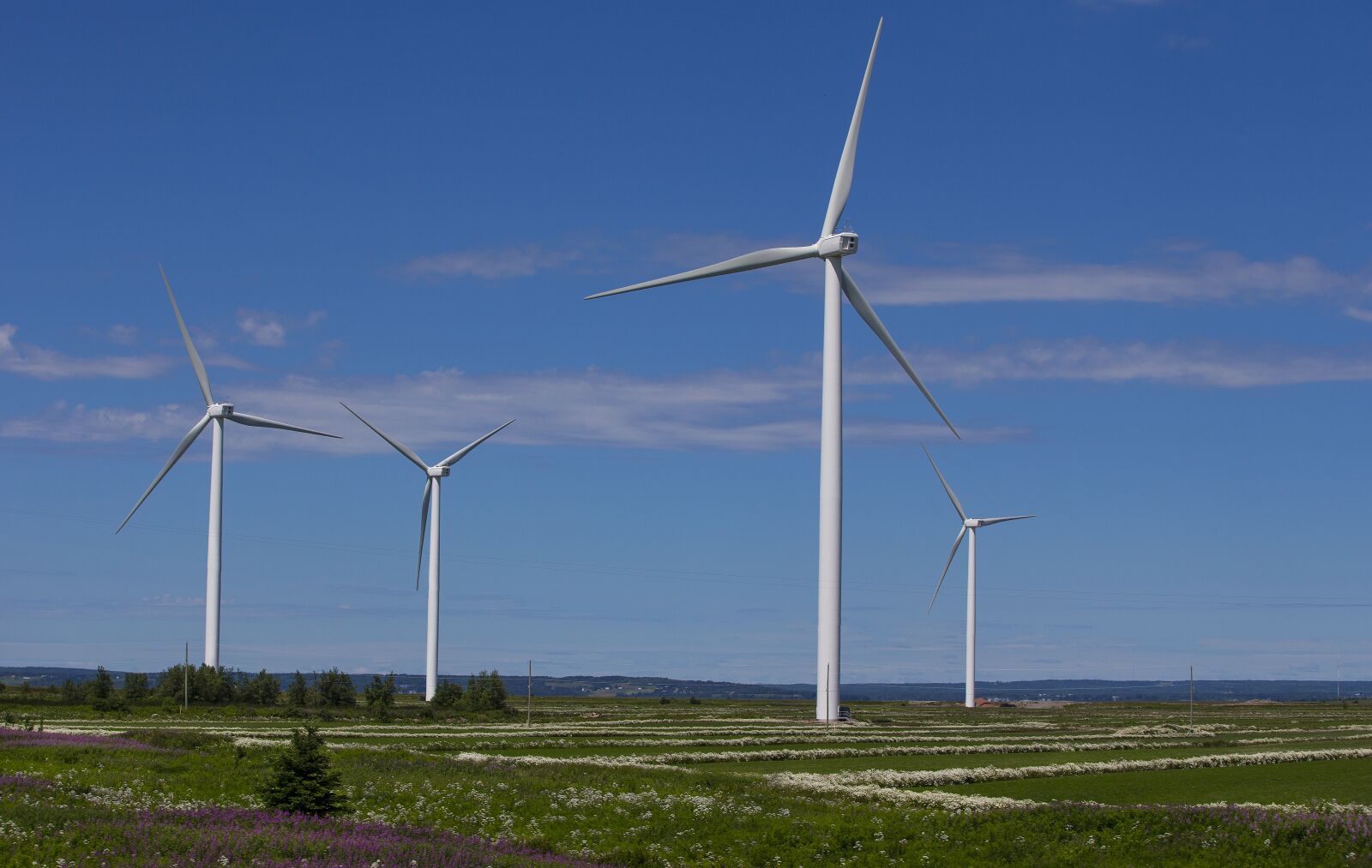 Canon EOS-1D X sample photo. Wind turbine, wind, wind photography