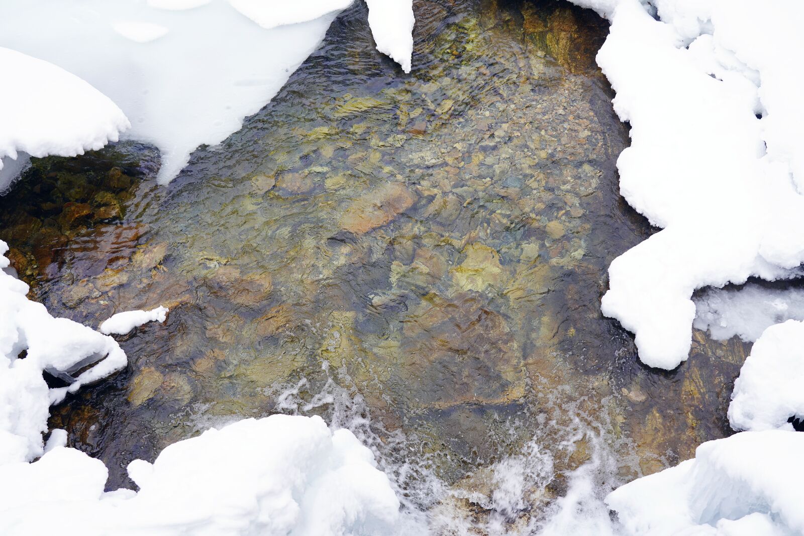 Sony FE 24-105mm F4 G OSS sample photo. Snow, winter, pine photography