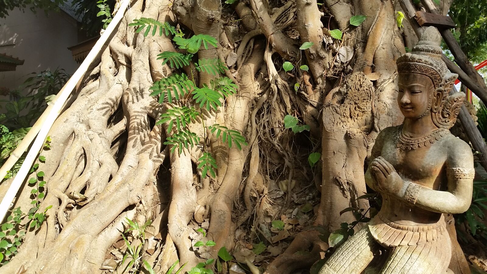 Samsung Galaxy S5 sample photo. Buddhism, carved, wood, roots photography