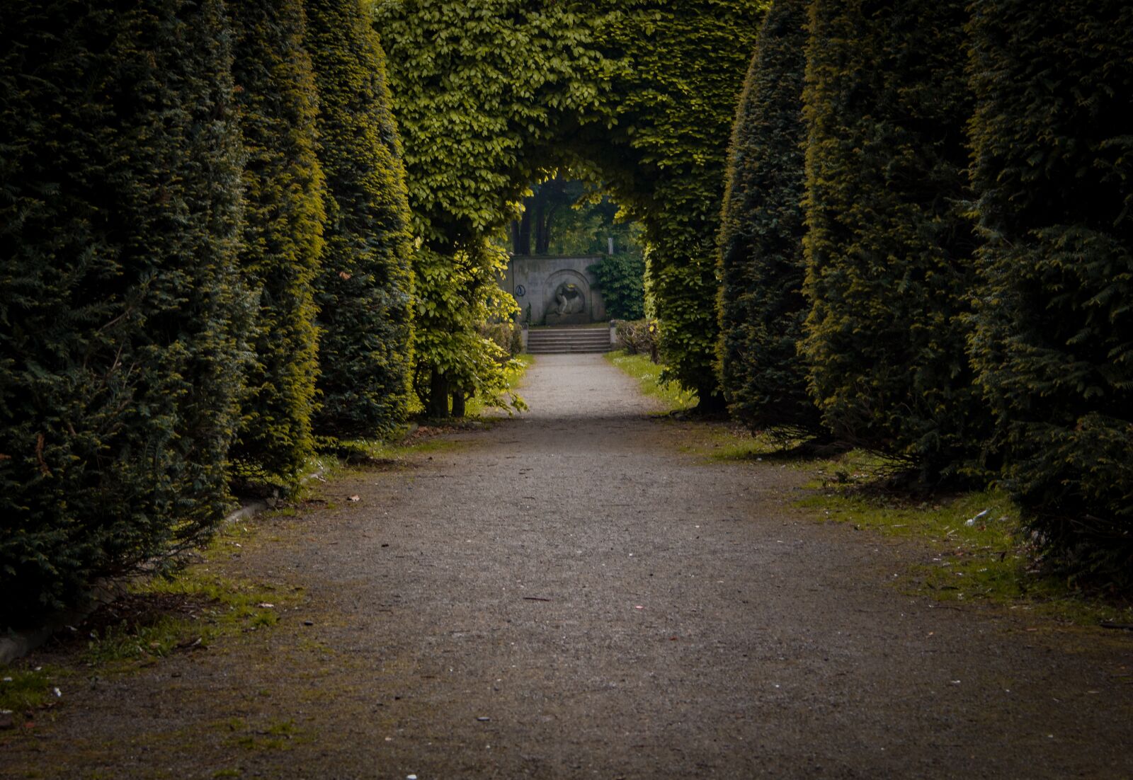 Canon EOS 700D (EOS Rebel T5i / EOS Kiss X7i) sample photo. All, trees, park photography