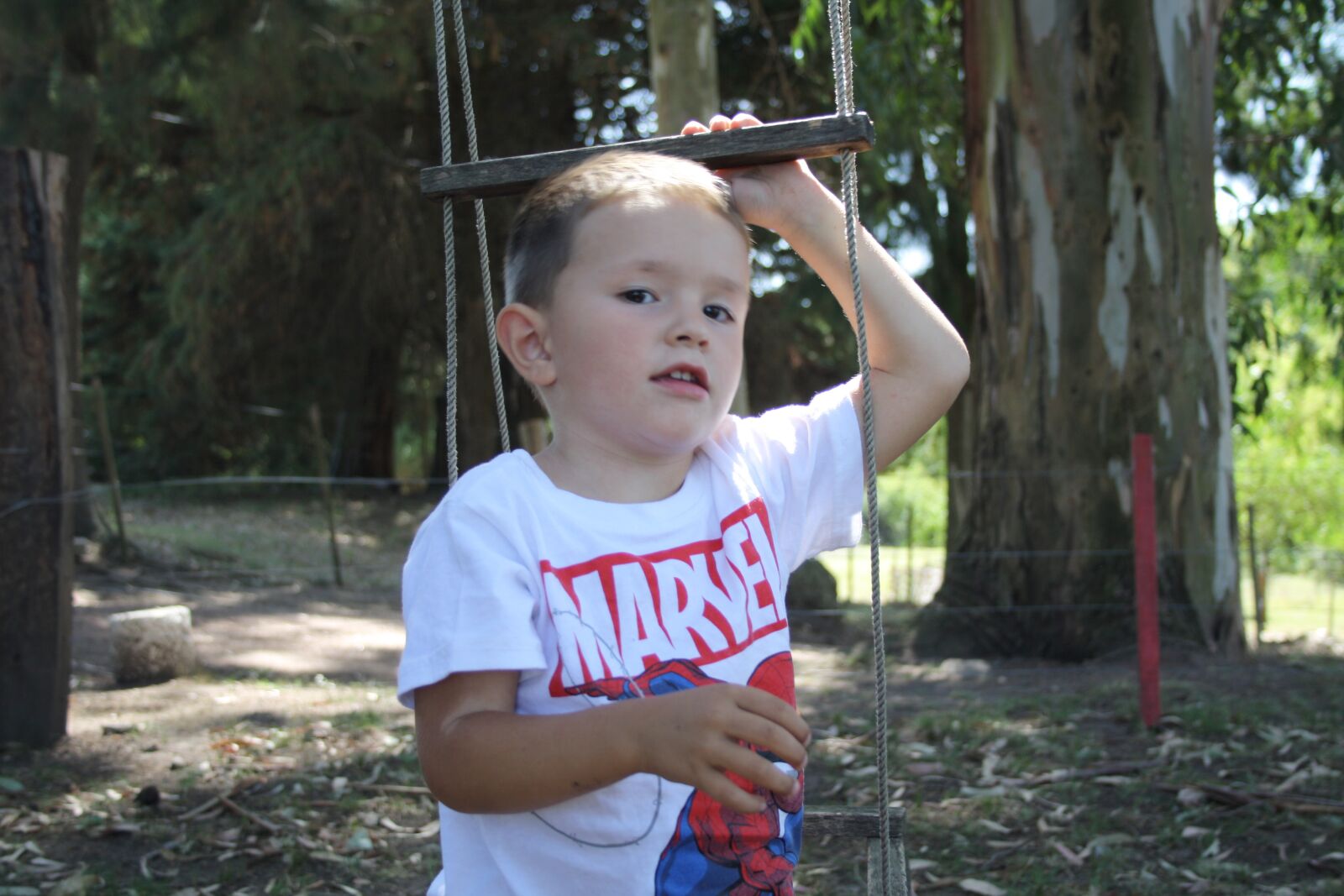 Canon EOS 1000D (EOS Digital Rebel XS / EOS Kiss F) sample photo. Boy, swing, toddler photography
