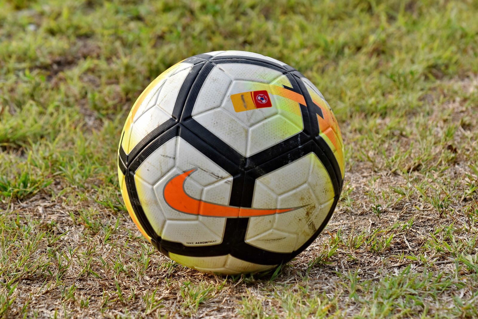 Nikon D5500 sample photo. Championship, contest, green grass photography