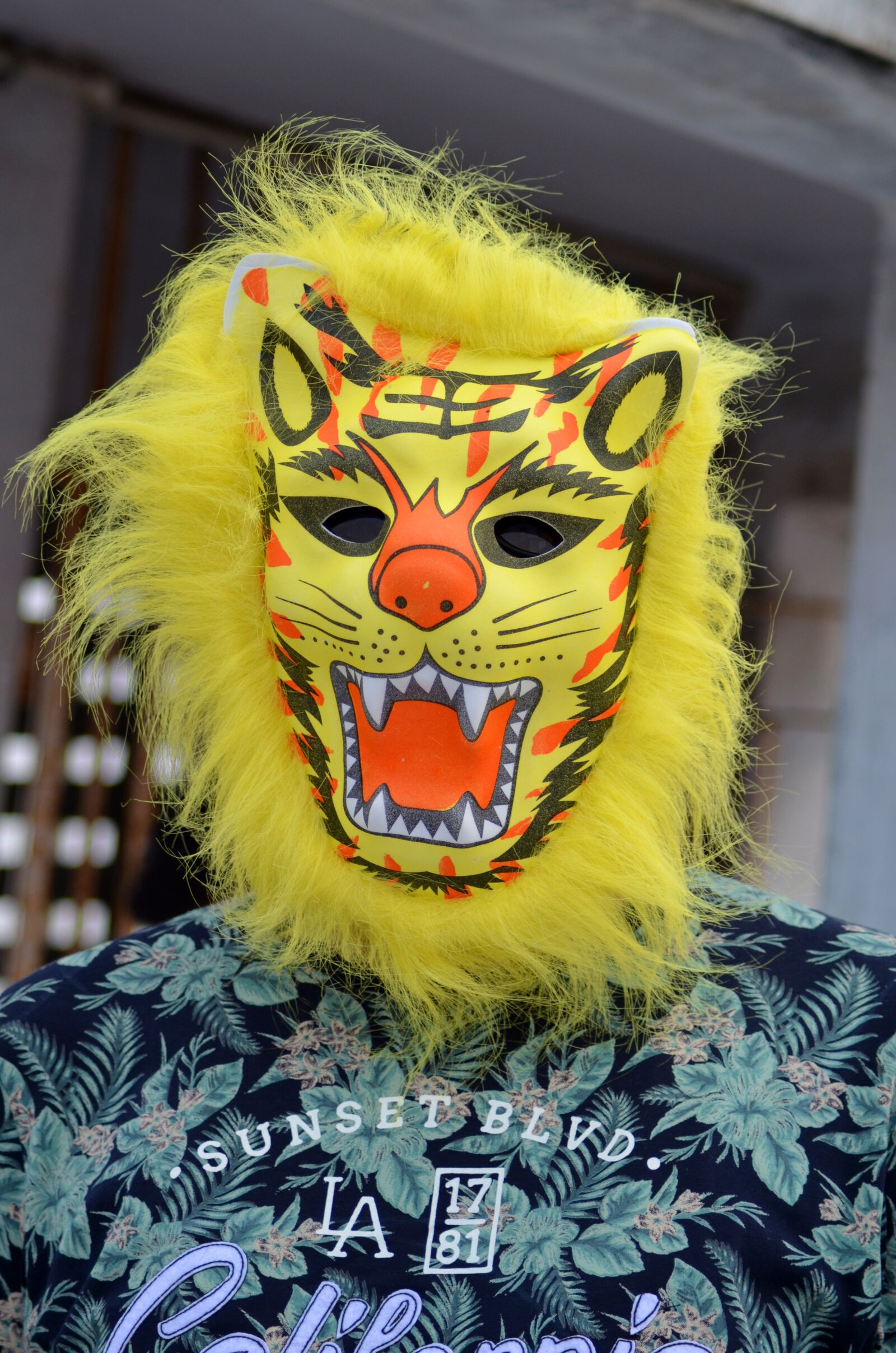 Nikon D5100 sample photo. People, mask, unique photography
