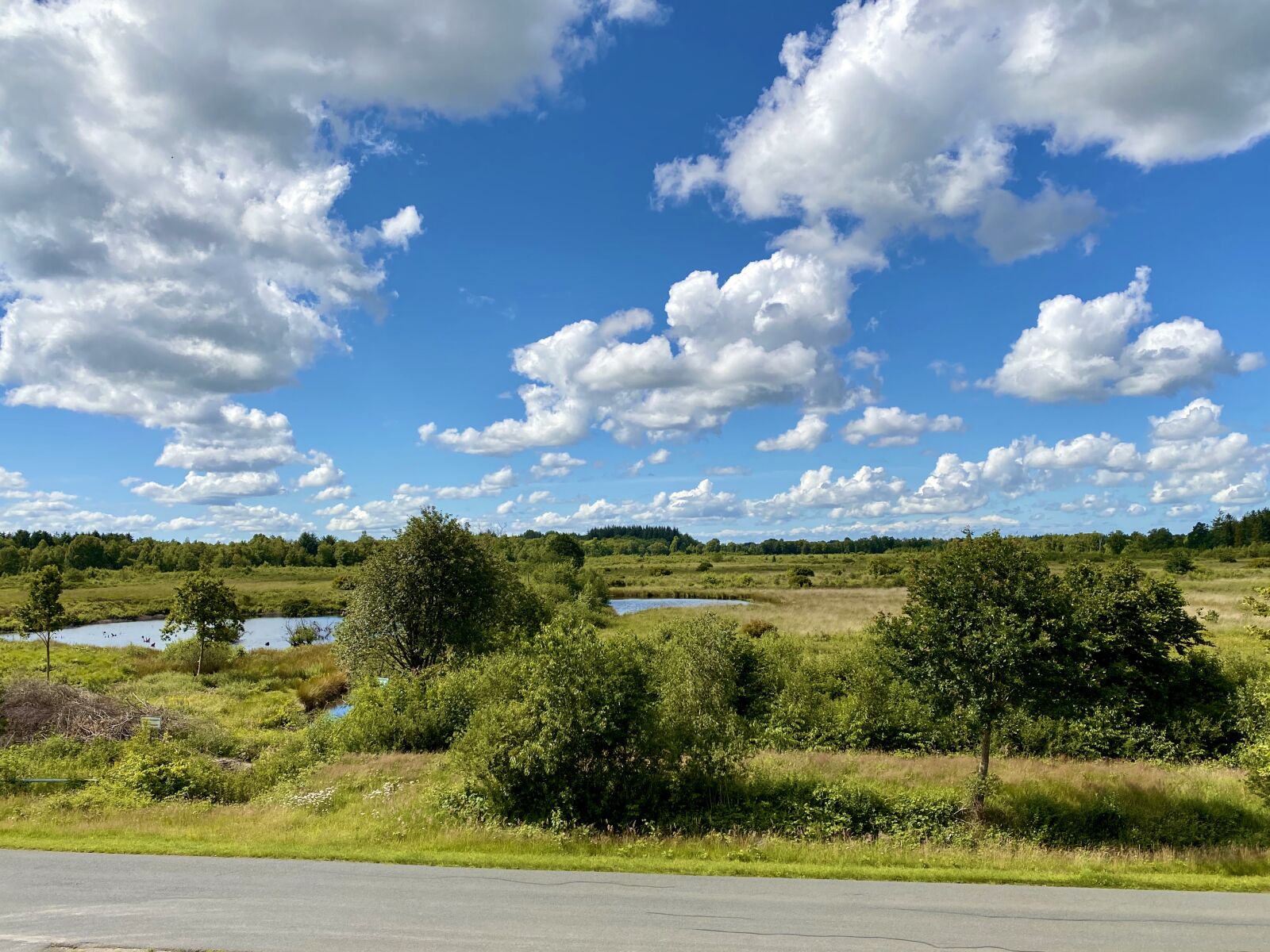iPhone 11 Pro back triple camera 4.25mm f/1.8 sample photo. Nature, clouds, east frisia photography