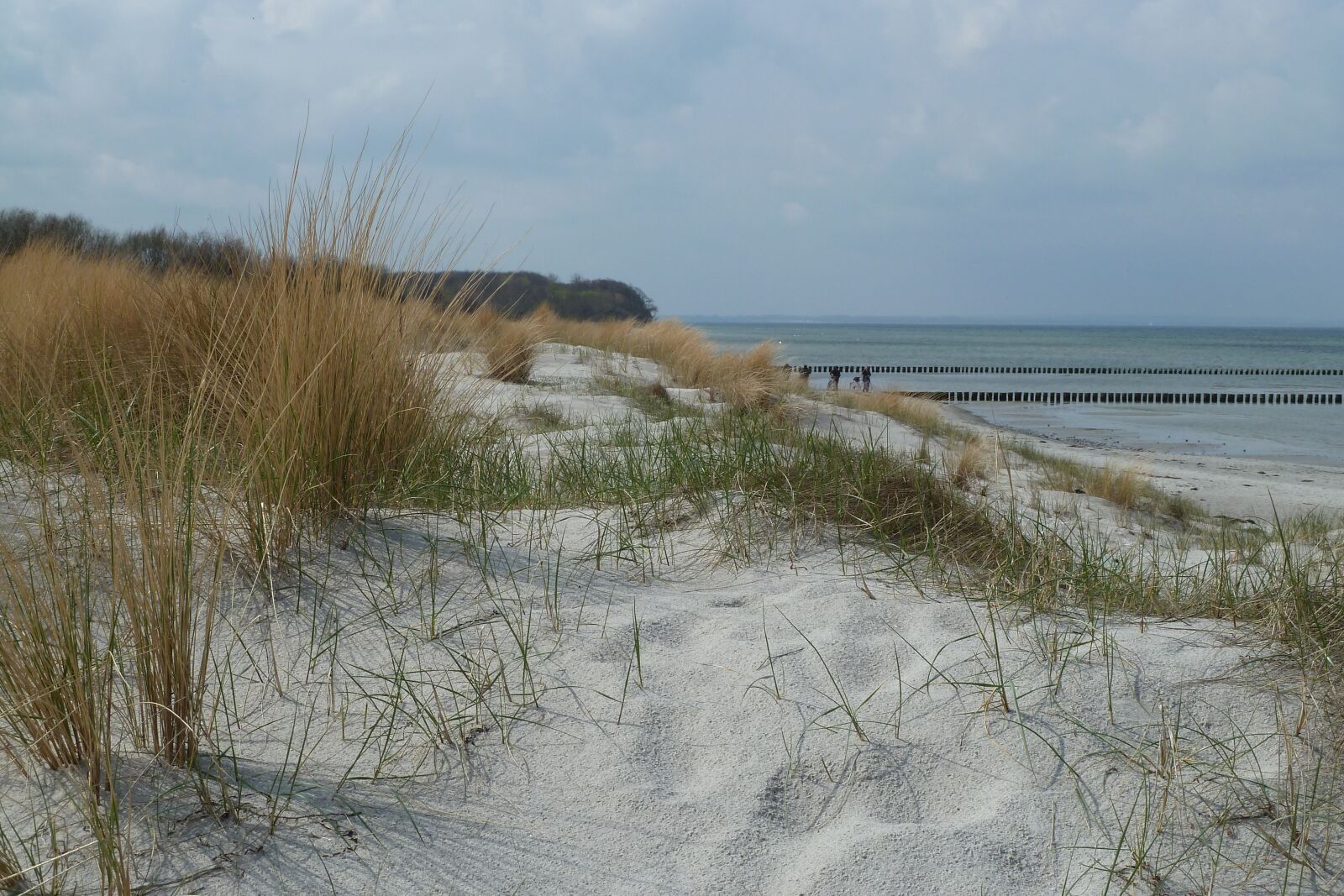 Panasonic Lumix DMC-ZS7 (Lumix DMC-TZ10) sample photo. Baltic sea, nature, sand photography