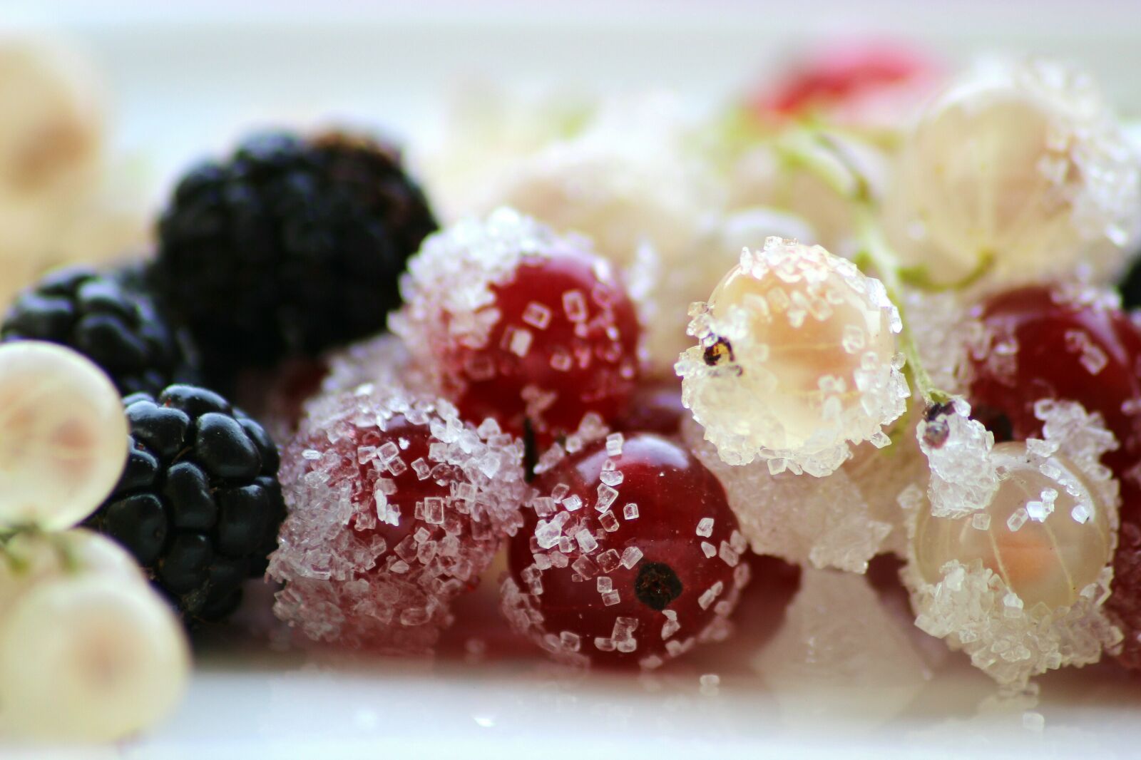 Canon EOS 600D (Rebel EOS T3i / EOS Kiss X5) sample photo. Berries, currants, red photography