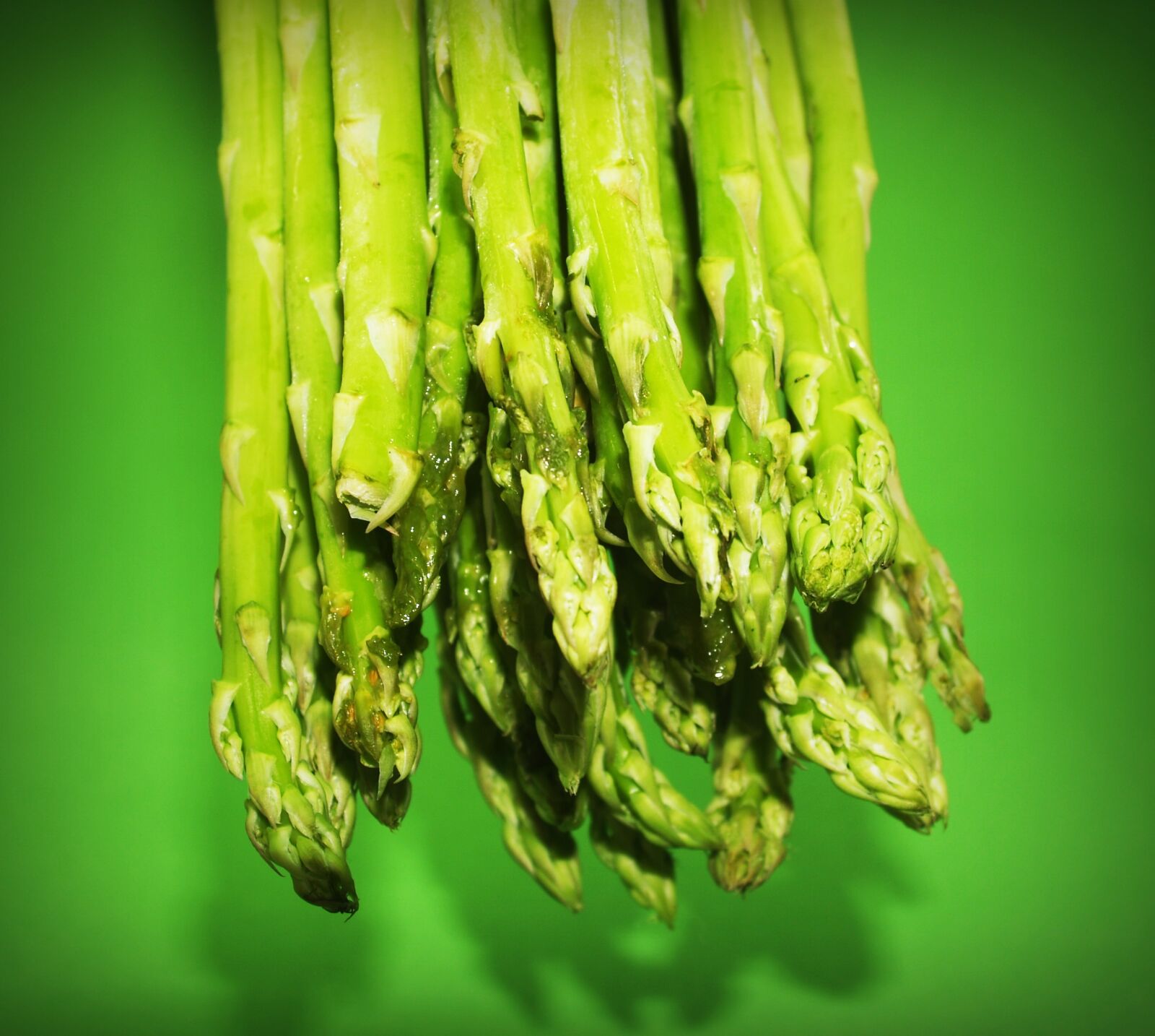 Olympus E-300 (EVOLT E-300) sample photo. Food, asparagus, gourmet photography