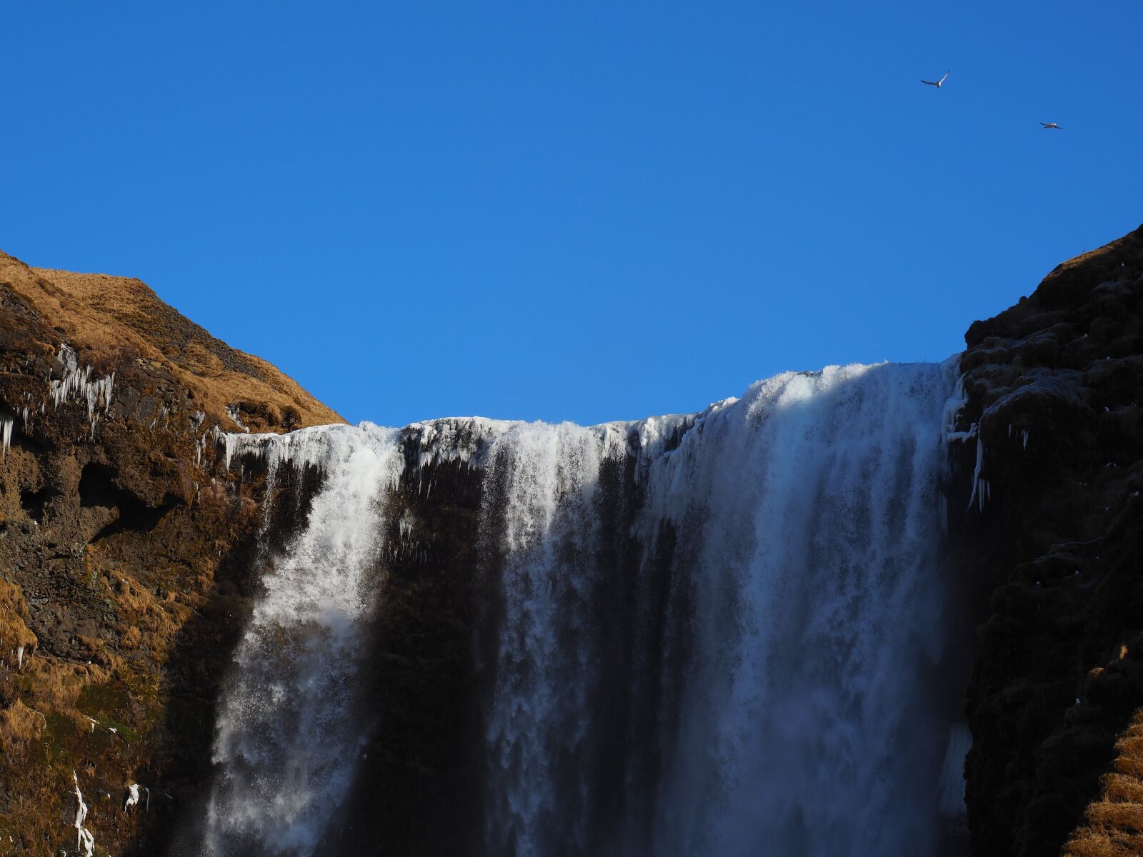 Olympus M.Zuiko Digital ED 12-100mm F4.0 IS Pro sample photo. Skogafoss, waterfall, river photography