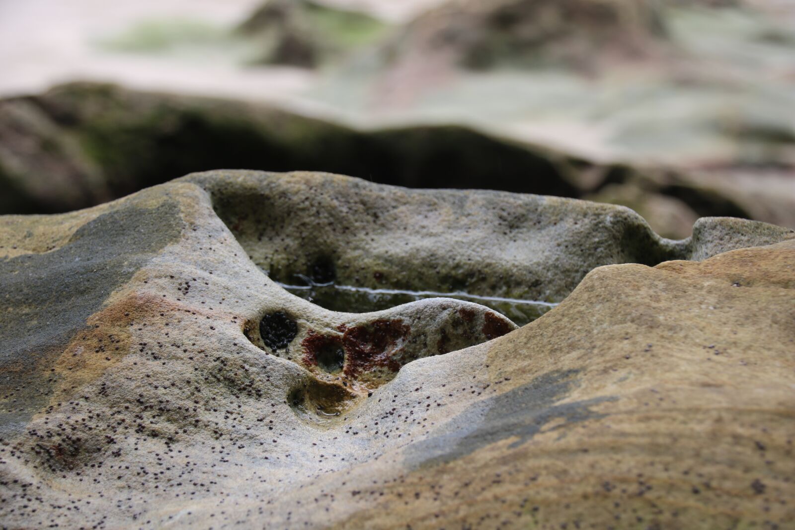 Canon EOS 760D (EOS Rebel T6s / EOS 8000D) sample photo. Stone, rock, nature photography