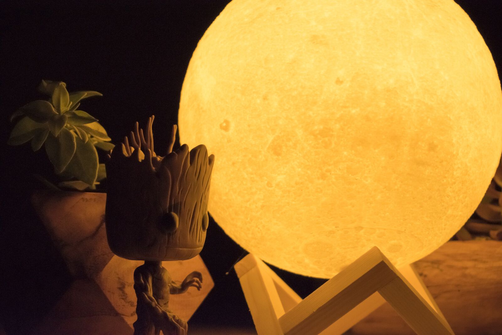 Nikon D5300 sample photo. Moon, nature, groot photography