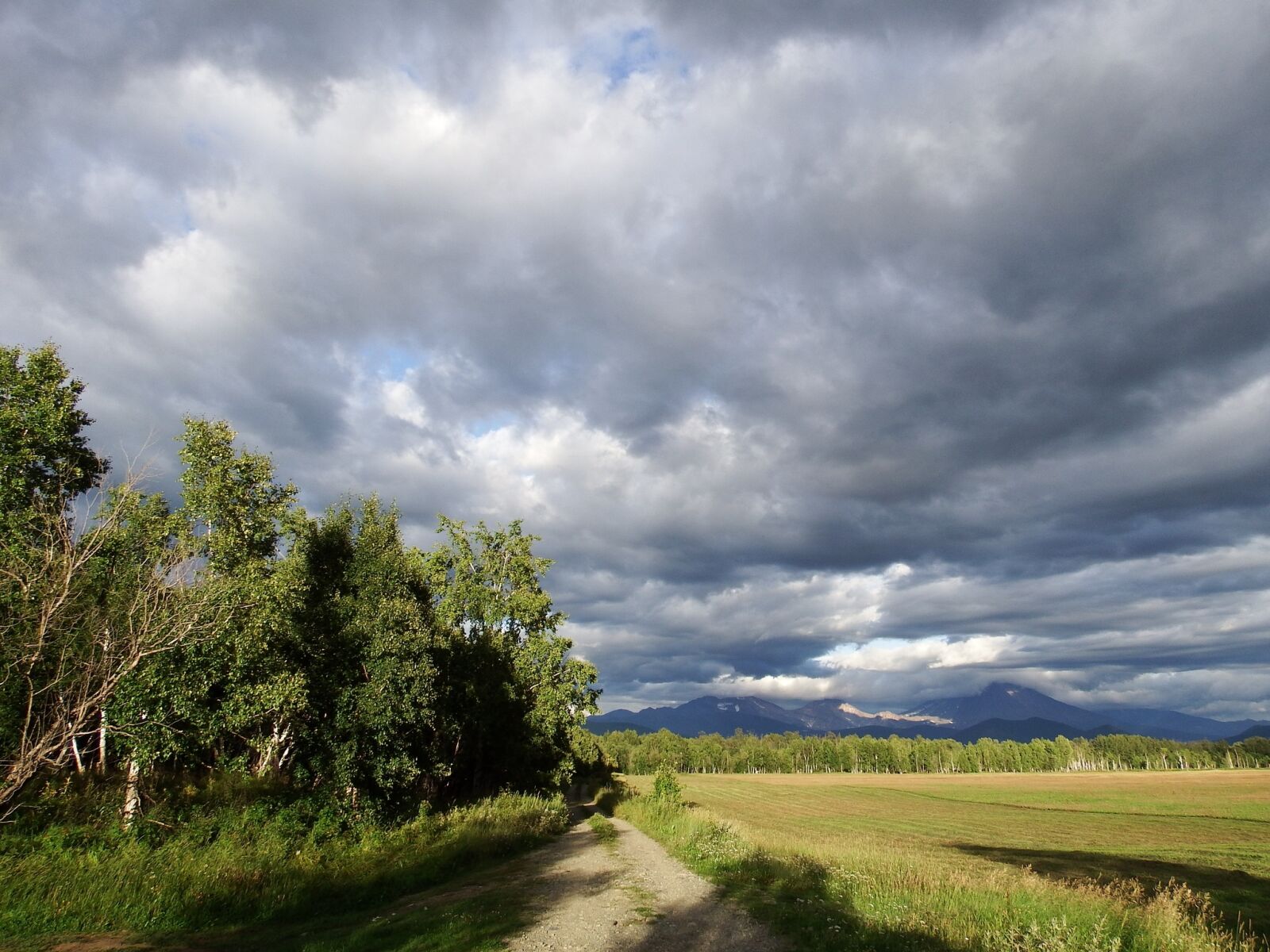 Fujifilm FinePix S1 sample photo. Field, forest, clouds photography
