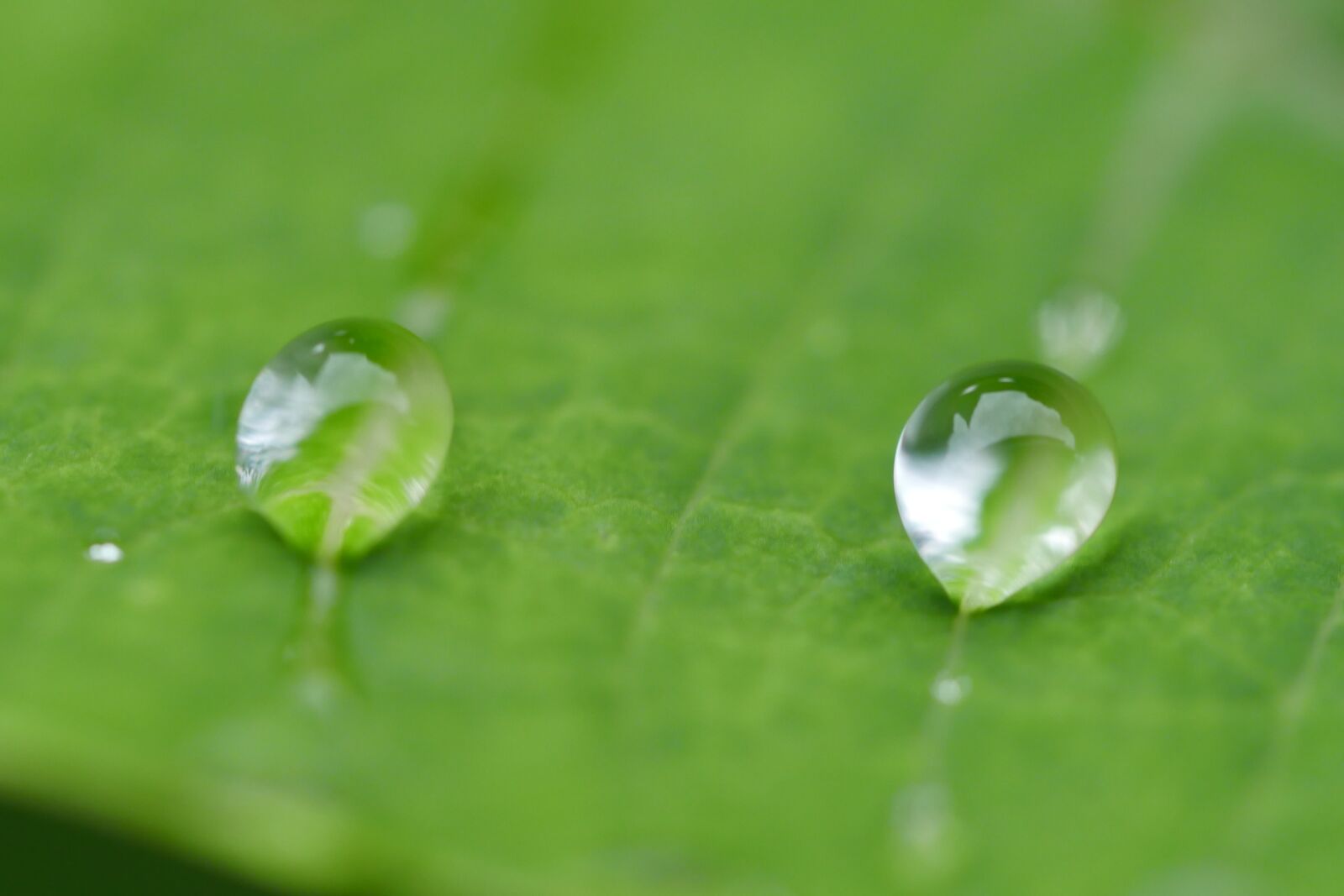 Panasonic Lumix DMC-GX8 sample photo. Water, water point, water photography
