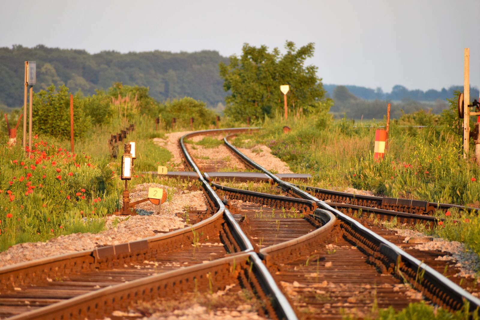 Nikon D3300 sample photo. Railway, tracks, sunset photography