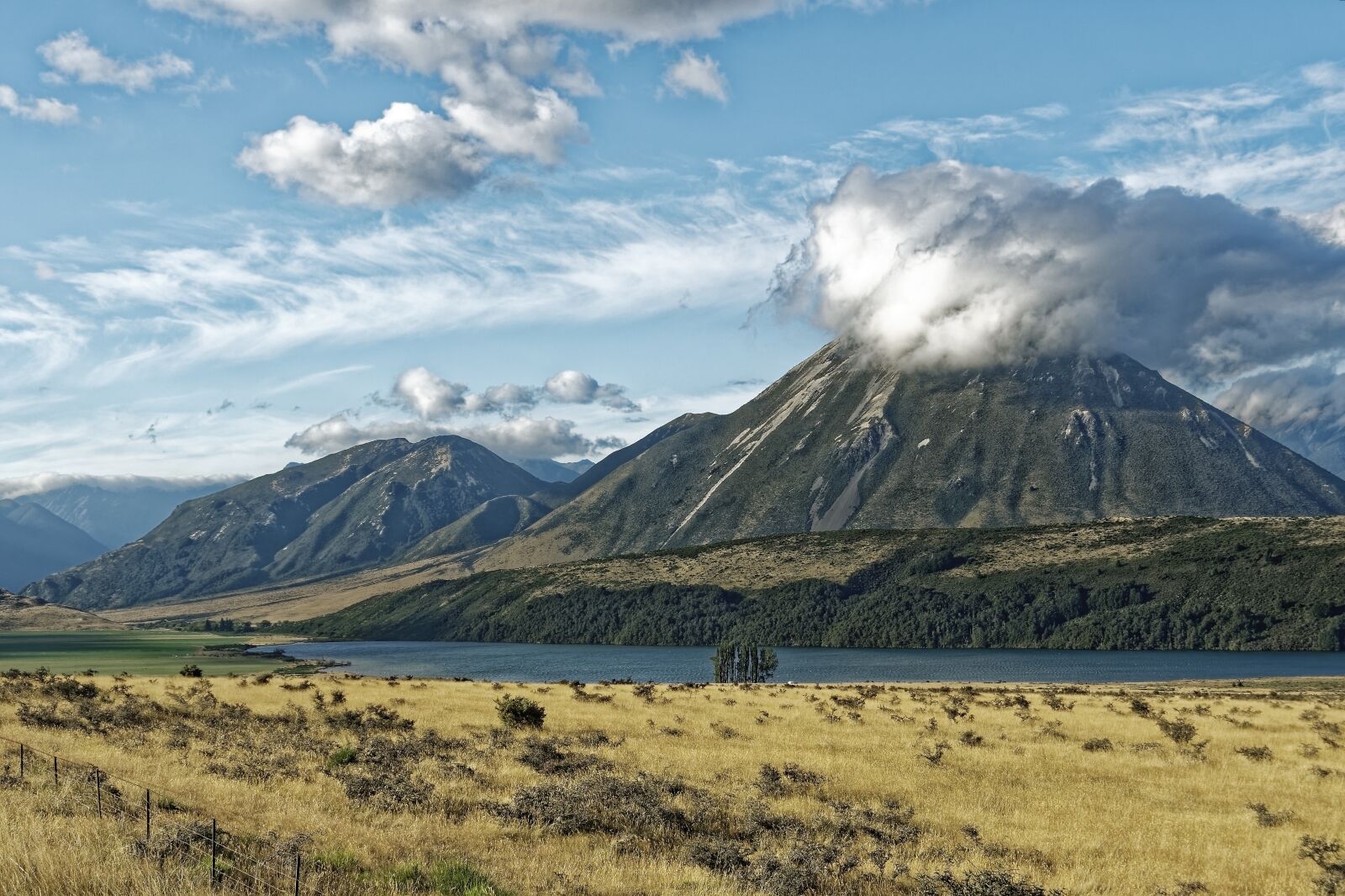 Nikon D500 sample photo. New zealand, craigieburn forest photography