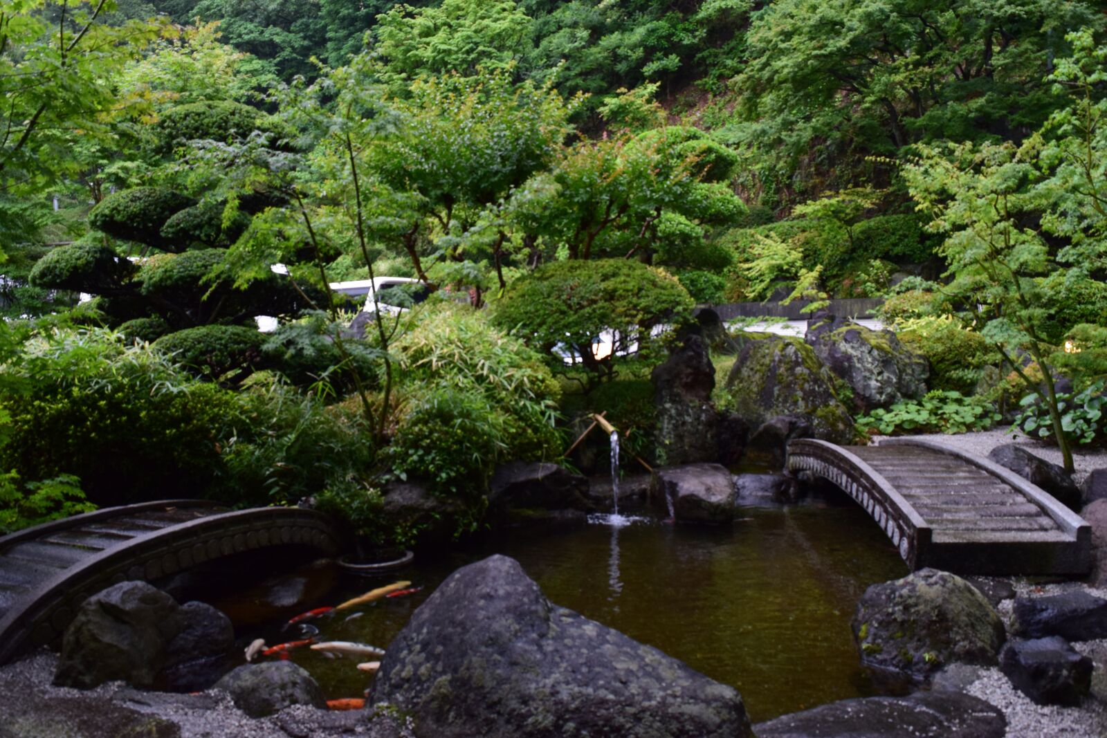 Nikon D3300 sample photo. Green, rock, stone photography
