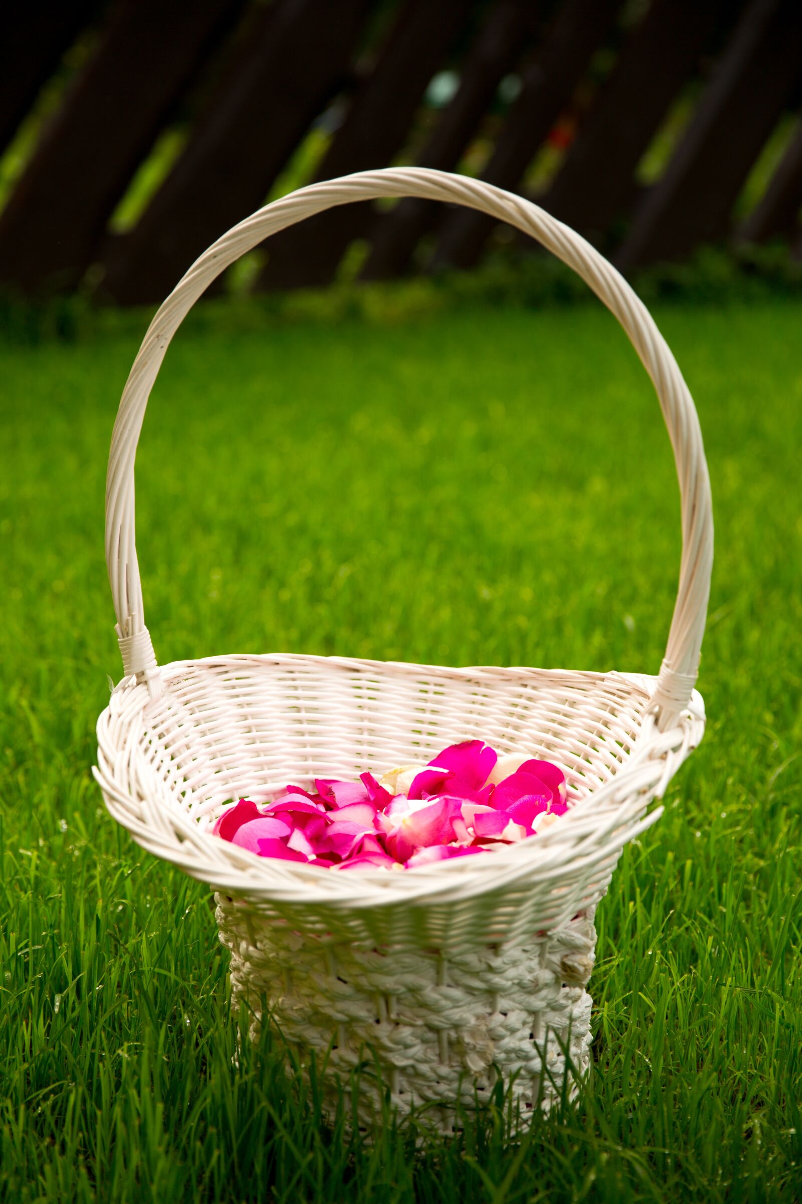 Canon EF 24-70mm F2.8L II USM sample photo. Basket, petals, wedding photography