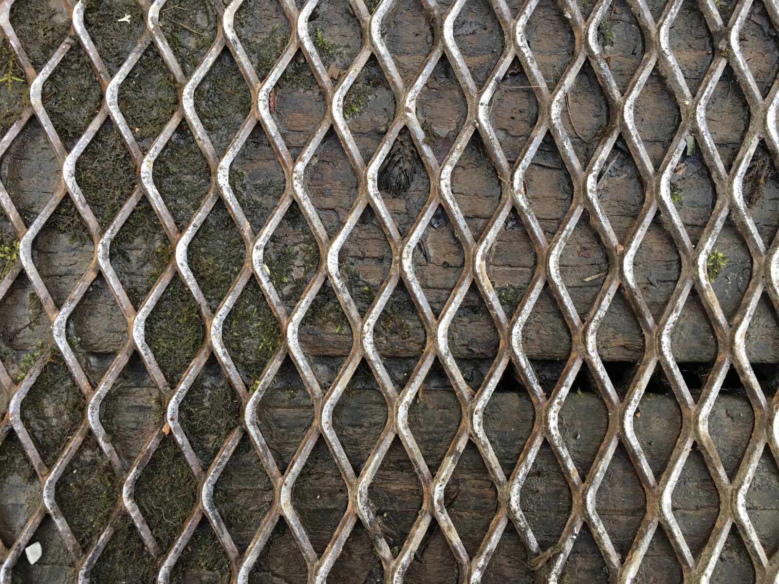 Apple iPhone 6s Plus sample photo. Wood, grid, brown photography
