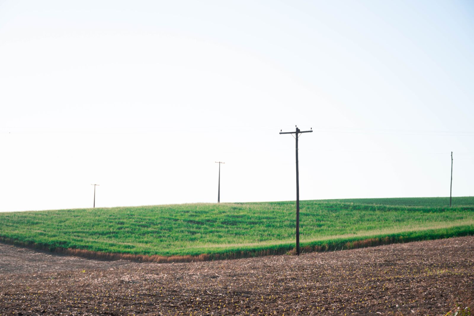 Nikon D7200 sample photo. Countryside, fields, plains photography