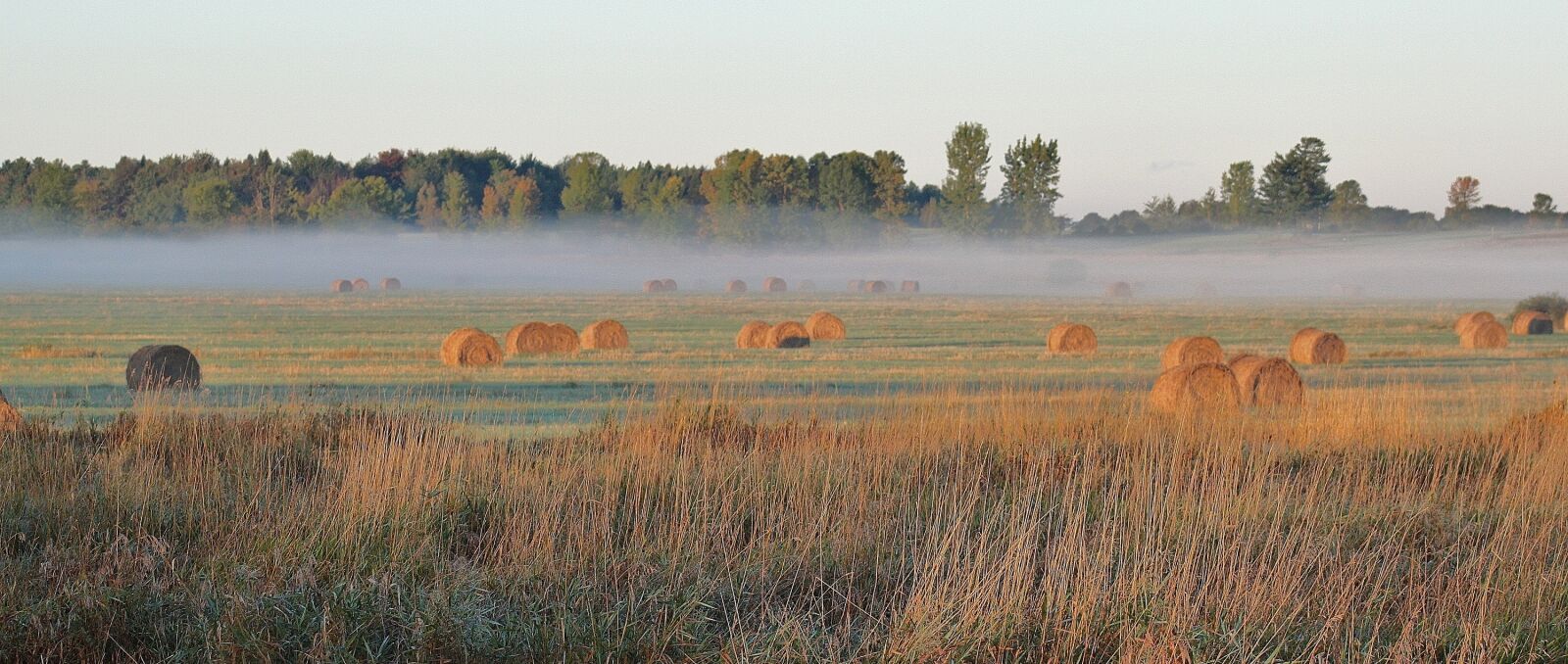 Canon EOS 500D (EOS Rebel T1i / EOS Kiss X3) sample photo. Hay, field, agriculture photography