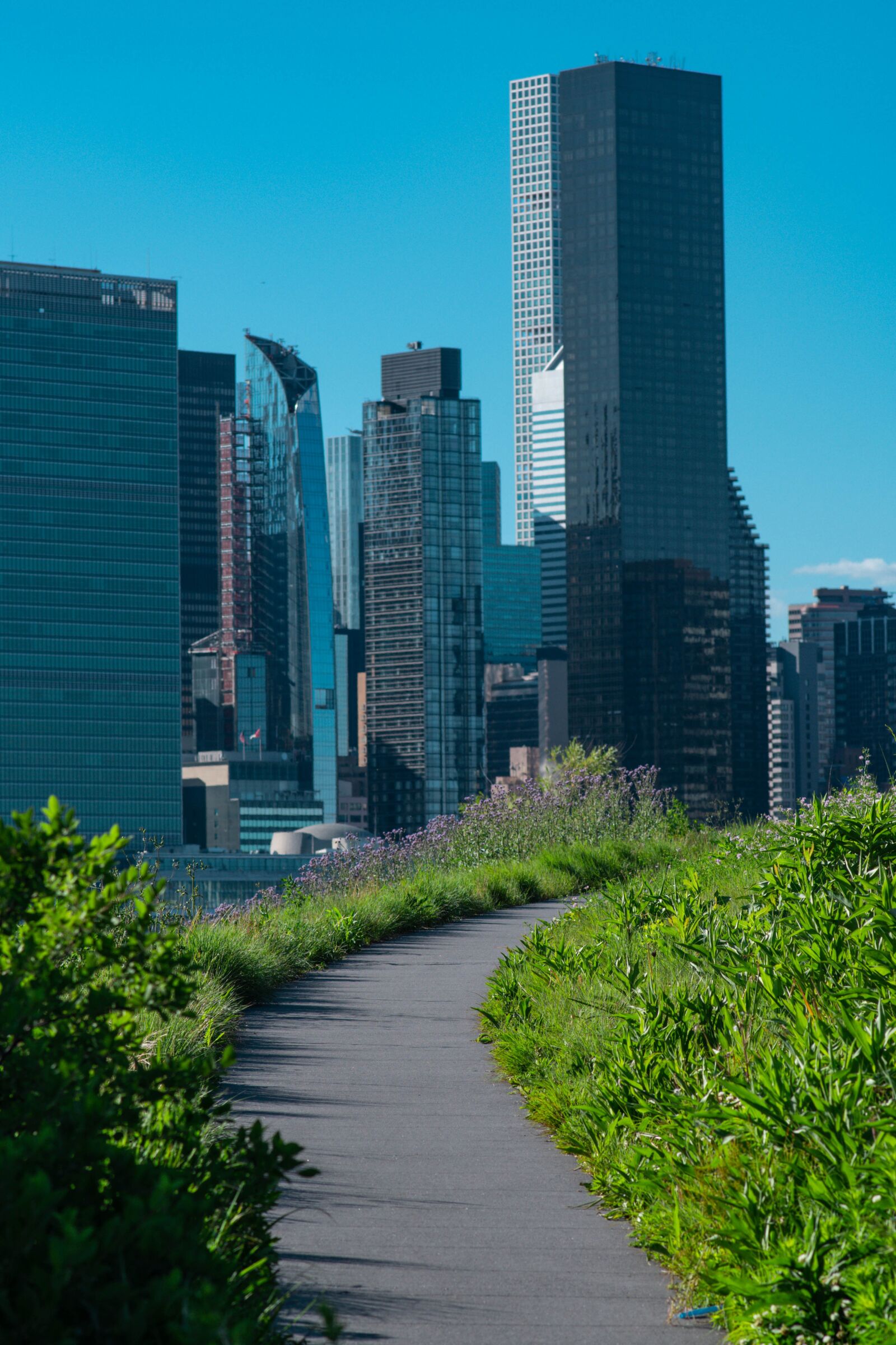 Nikon D500 sample photo. Buildings, city, park photography