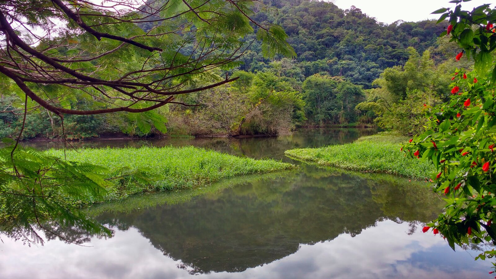 Motorola MotoG3 sample photo. Rio, nature, water photography