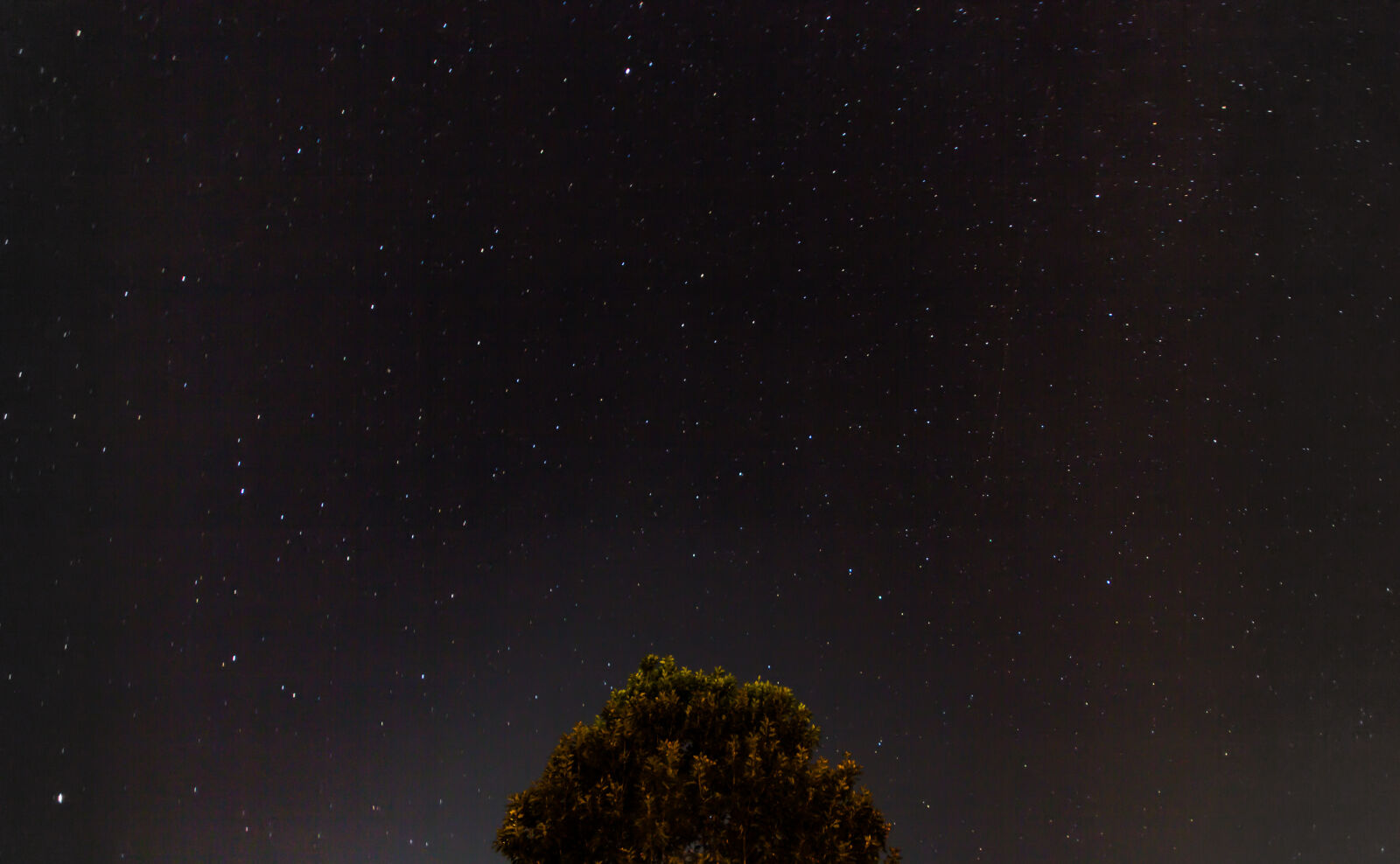 Canon EOS 60D + Sigma 10-20mm F4-5.6 EX DC HSM sample photo. Constellation, dark, night, sky photography