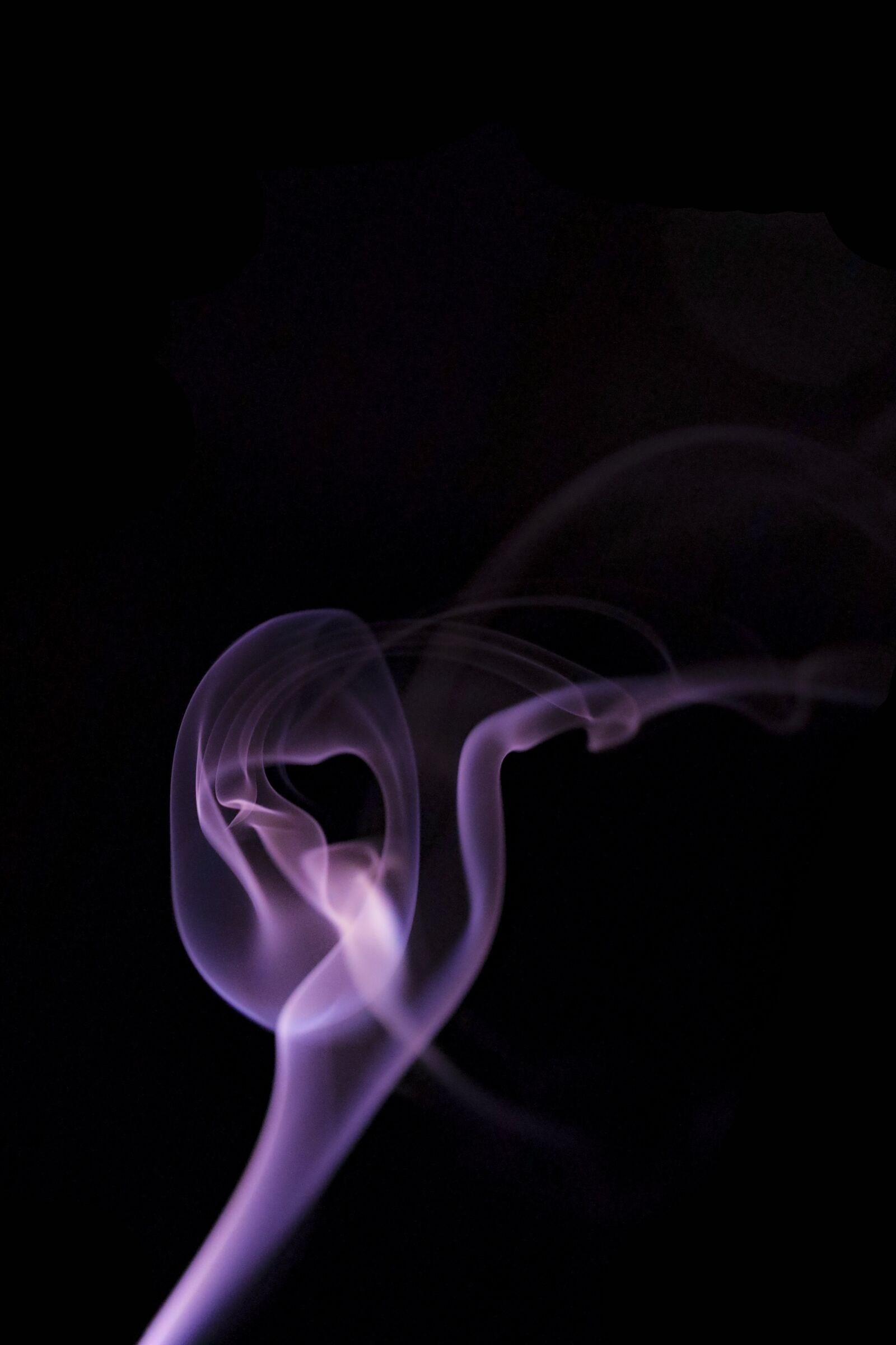 Canon EOS R sample photo. Violet, purple, smoke photography